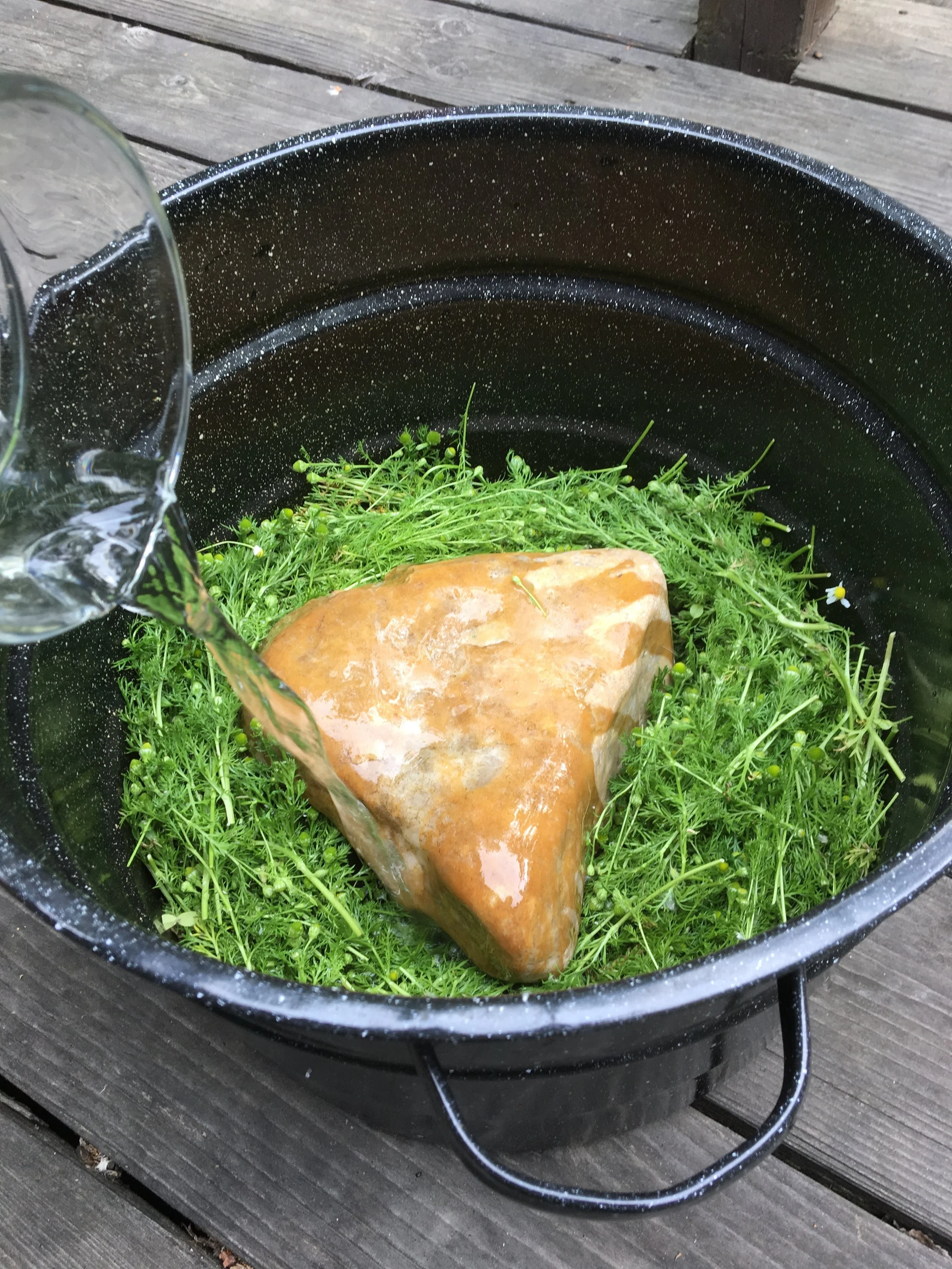 How to make hydrosols at home with no special equipment | Mossy Meadow Farm | Intentional Living in the country with herbs, spices, and botanicals