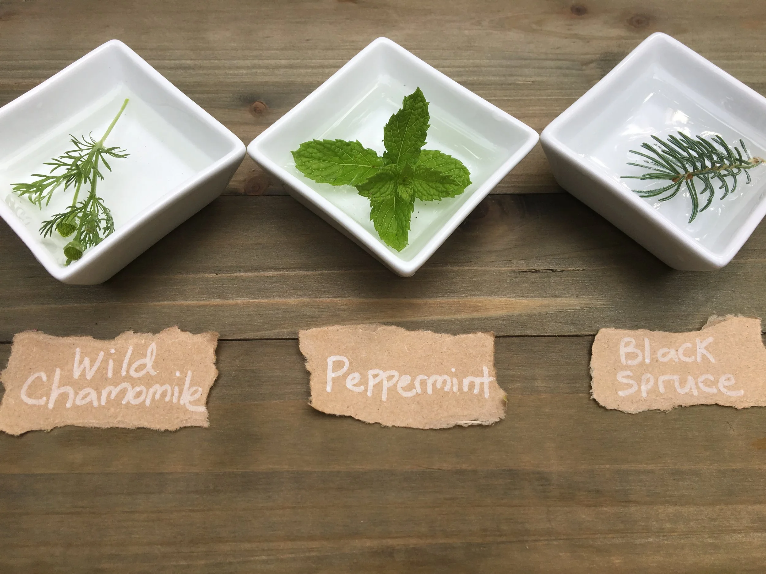 Great ideas for how to use hydrosols | Mossy Meadow Farm | Intentional Living in the country with herbs, spices, and botanicals