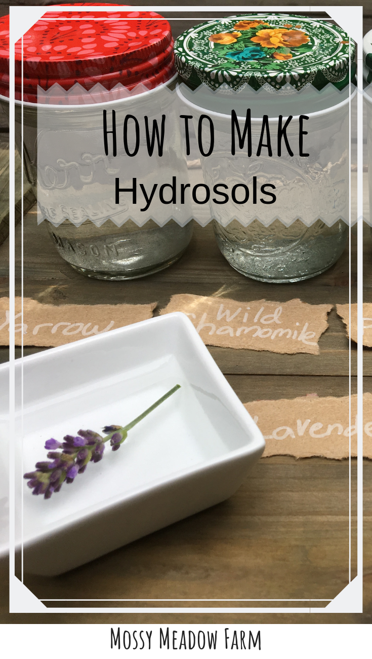 How to make hydrosols at home with no special equipment | Mossy Meadow Farm | Intentional Living in the country with herbs, spices, and botanicals