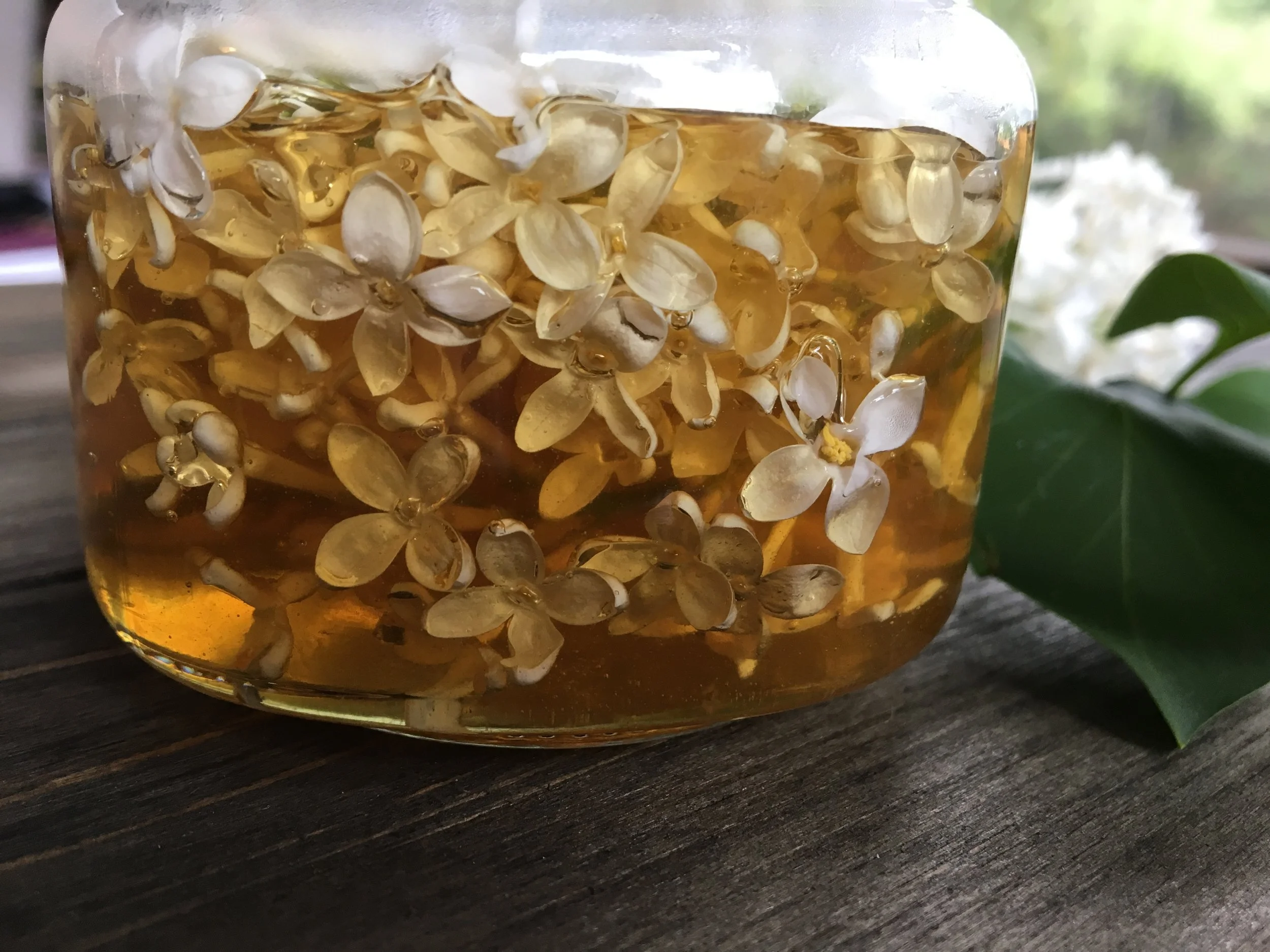 Lilac Infused Honey | Mossy Meadow Farm
