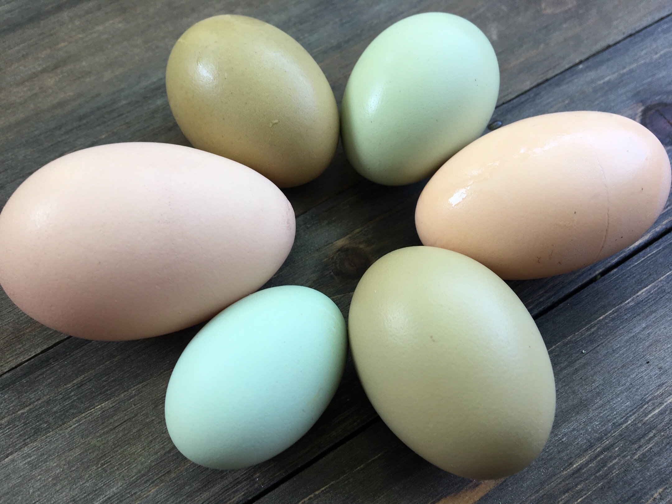 How We Wash Eggs 