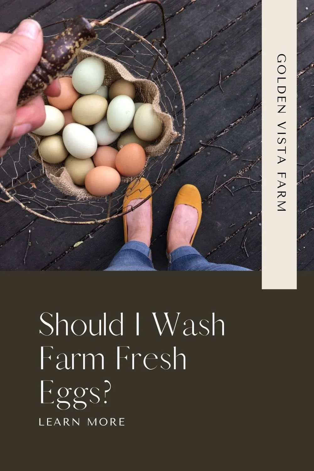 How to Wash Farm Fresh EggsOr is it Better Not To? — Golden Vista Farm