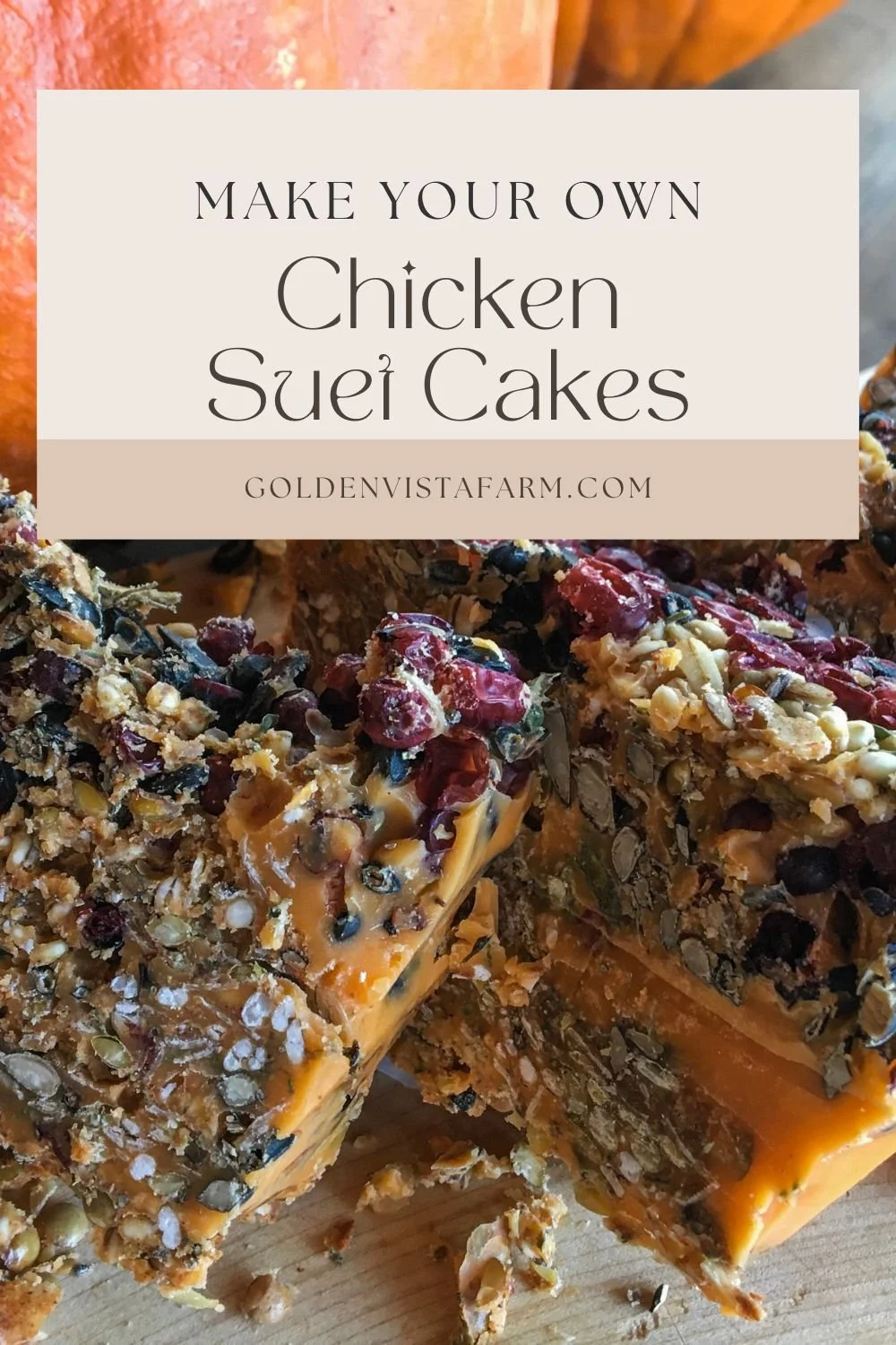 Homemade Suet Cakes for Chickens — Golden Vista Farm