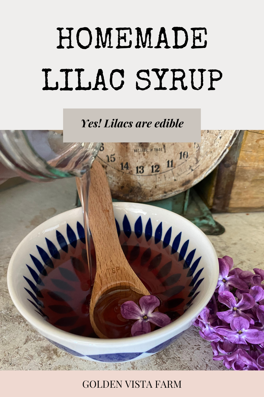 Lilac Simple Syrup — Golden Vista Farm