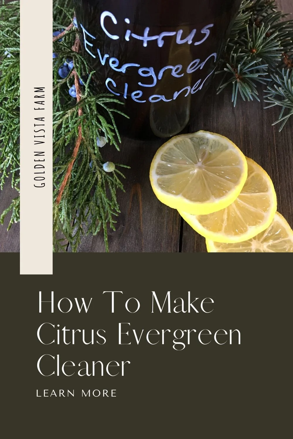 Citrus Evergreen All Purpose Cleaner — Golden Vista Farm