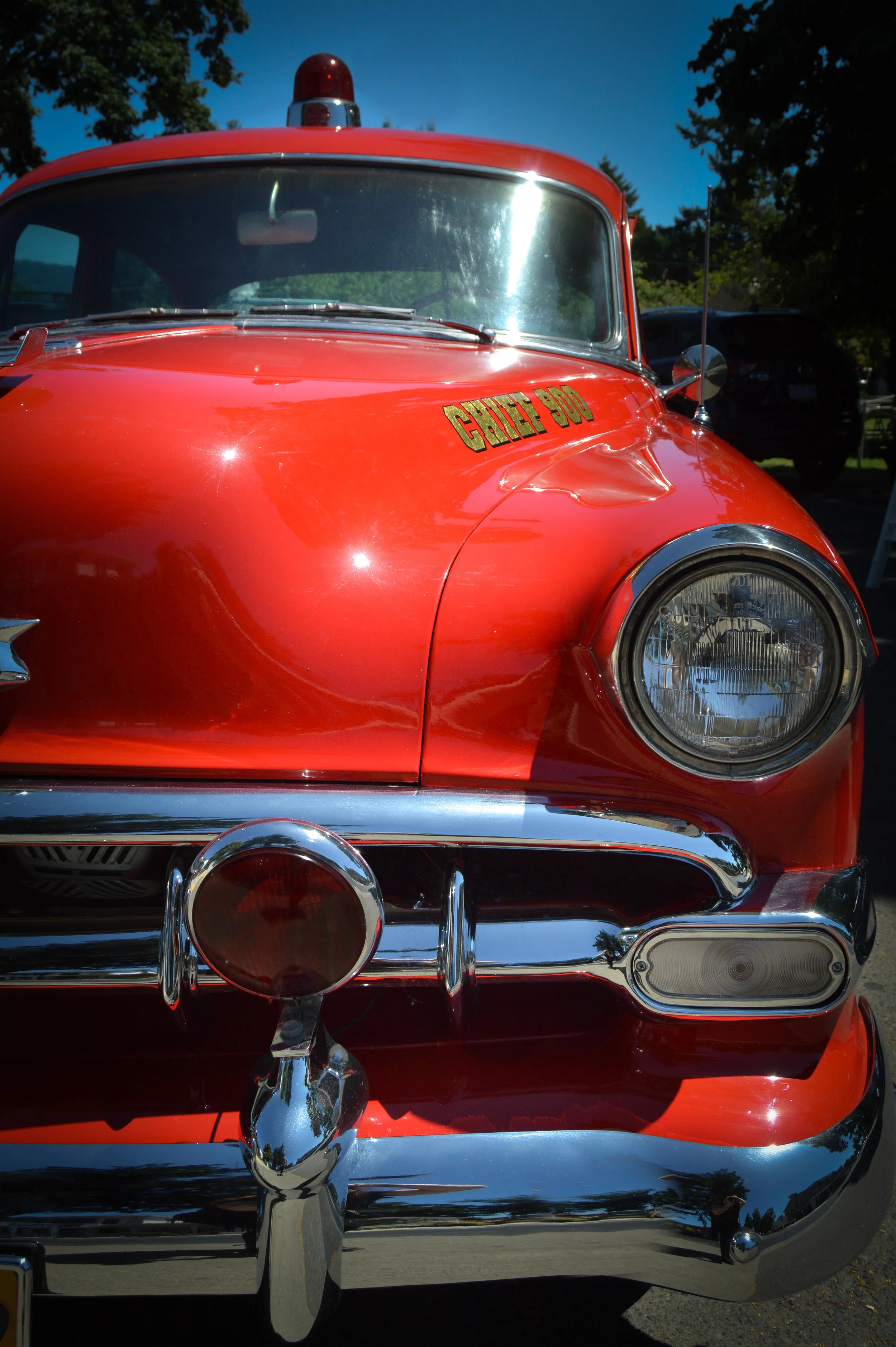 DSC_0424.jpg
