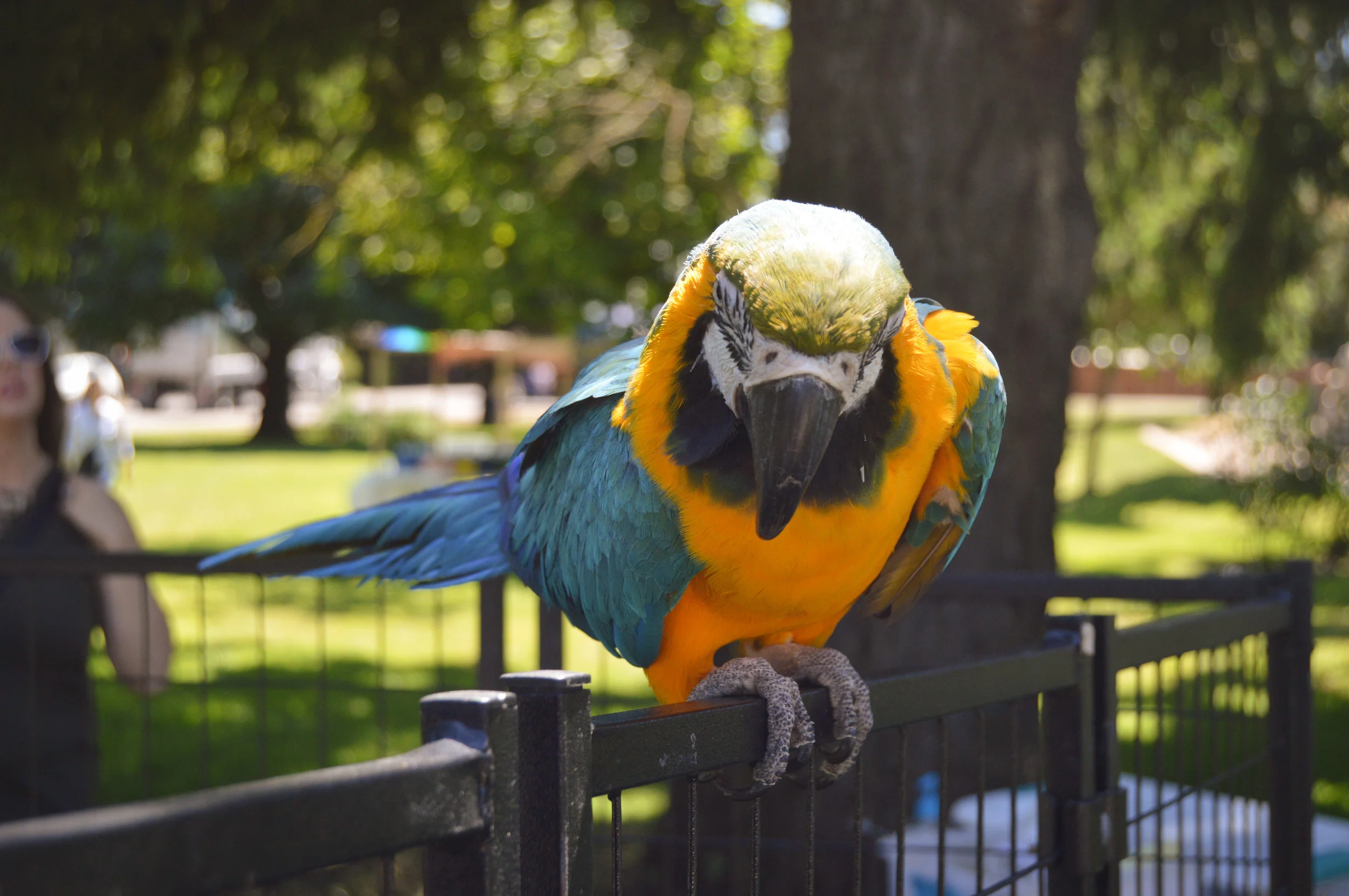 DSC_0519.jpg