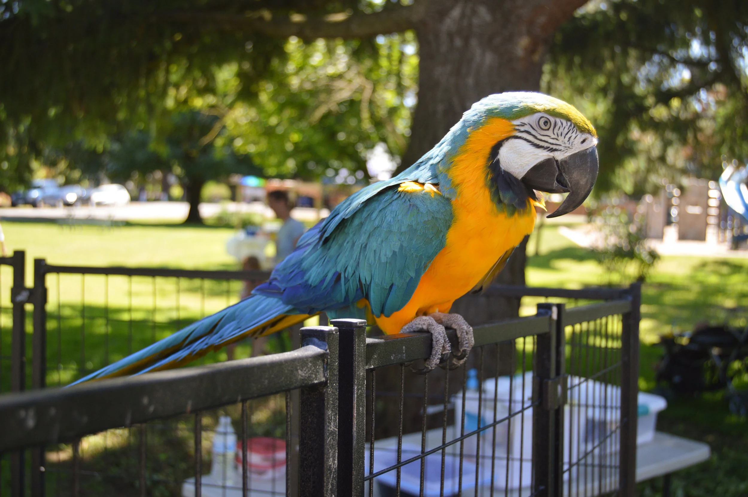 DSC_0524.jpg