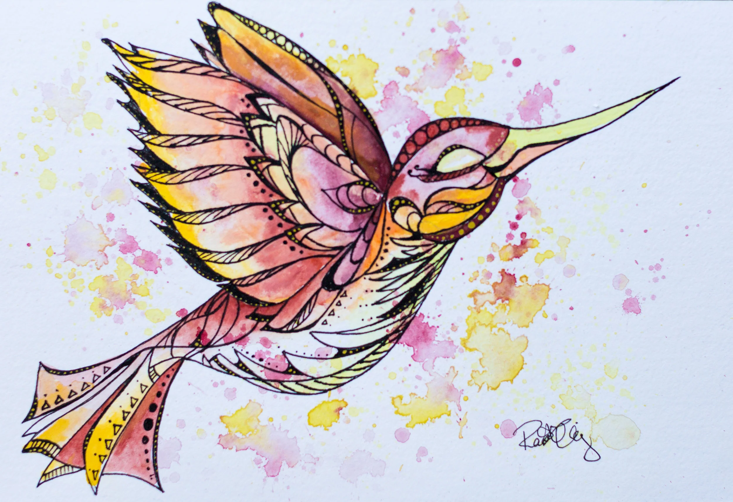 Warm Toned Smug Little Humming Bird