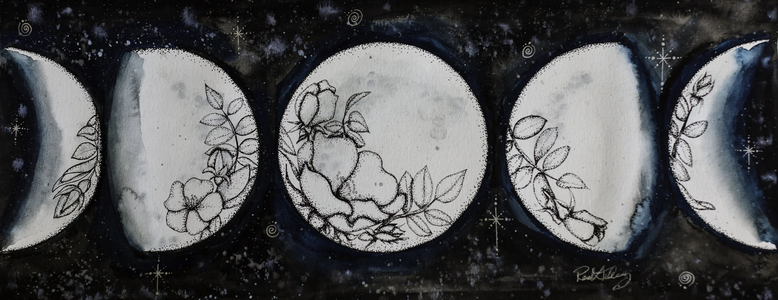 Flowers in the Moon Phases
