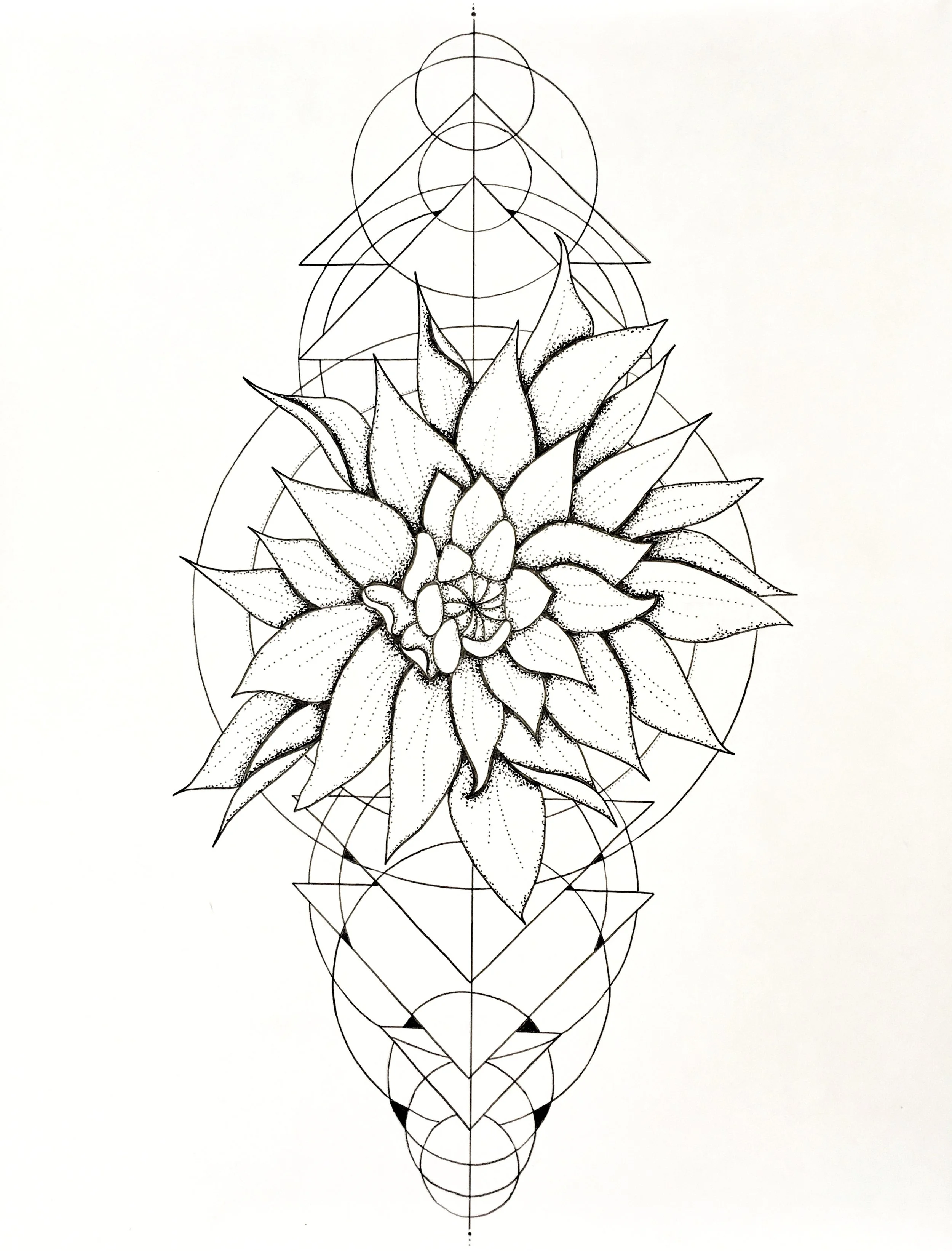 Dalia and Geometric Line Drawing