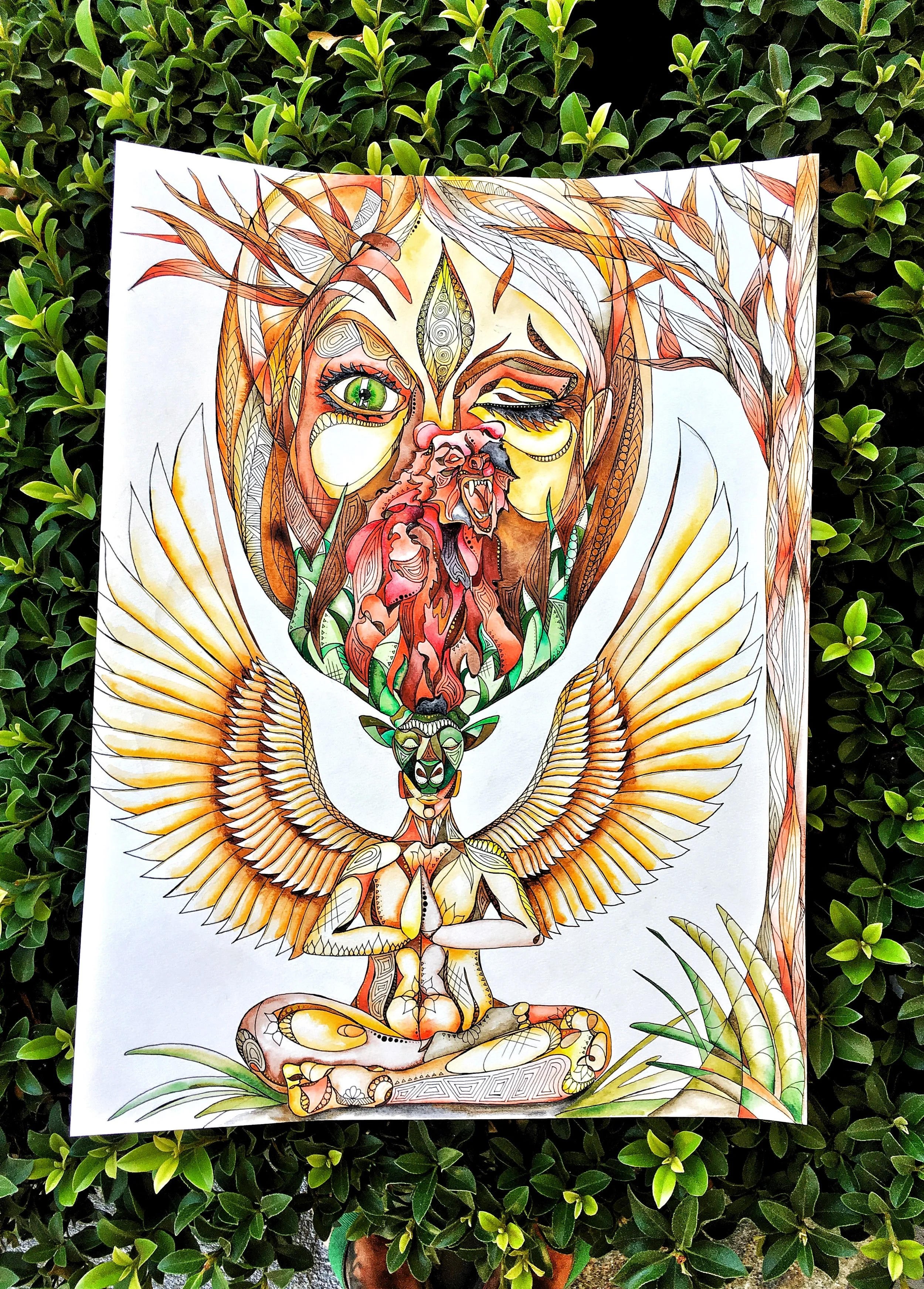 Distracted Meditation