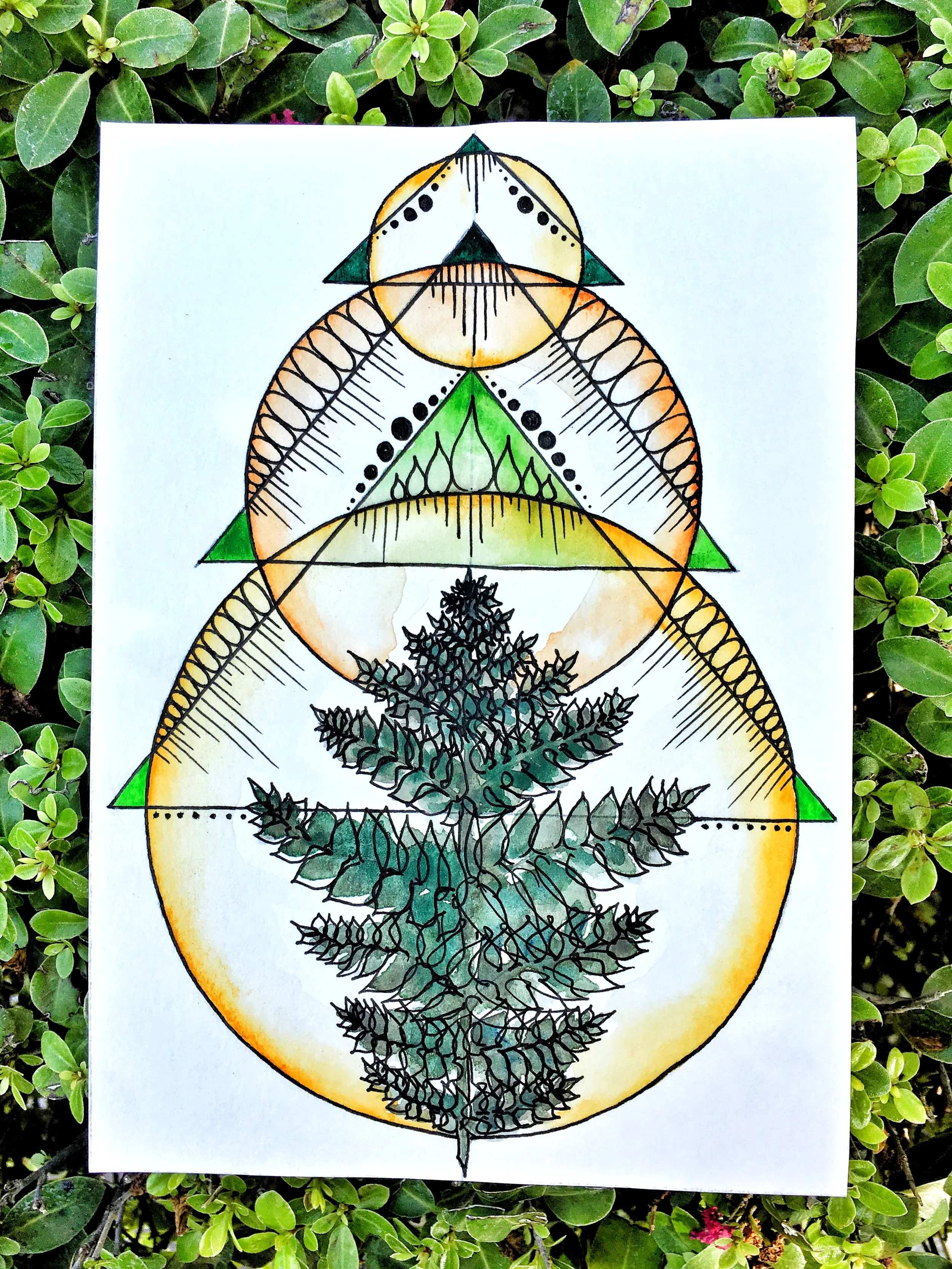 Fern Geometric Mini Painting