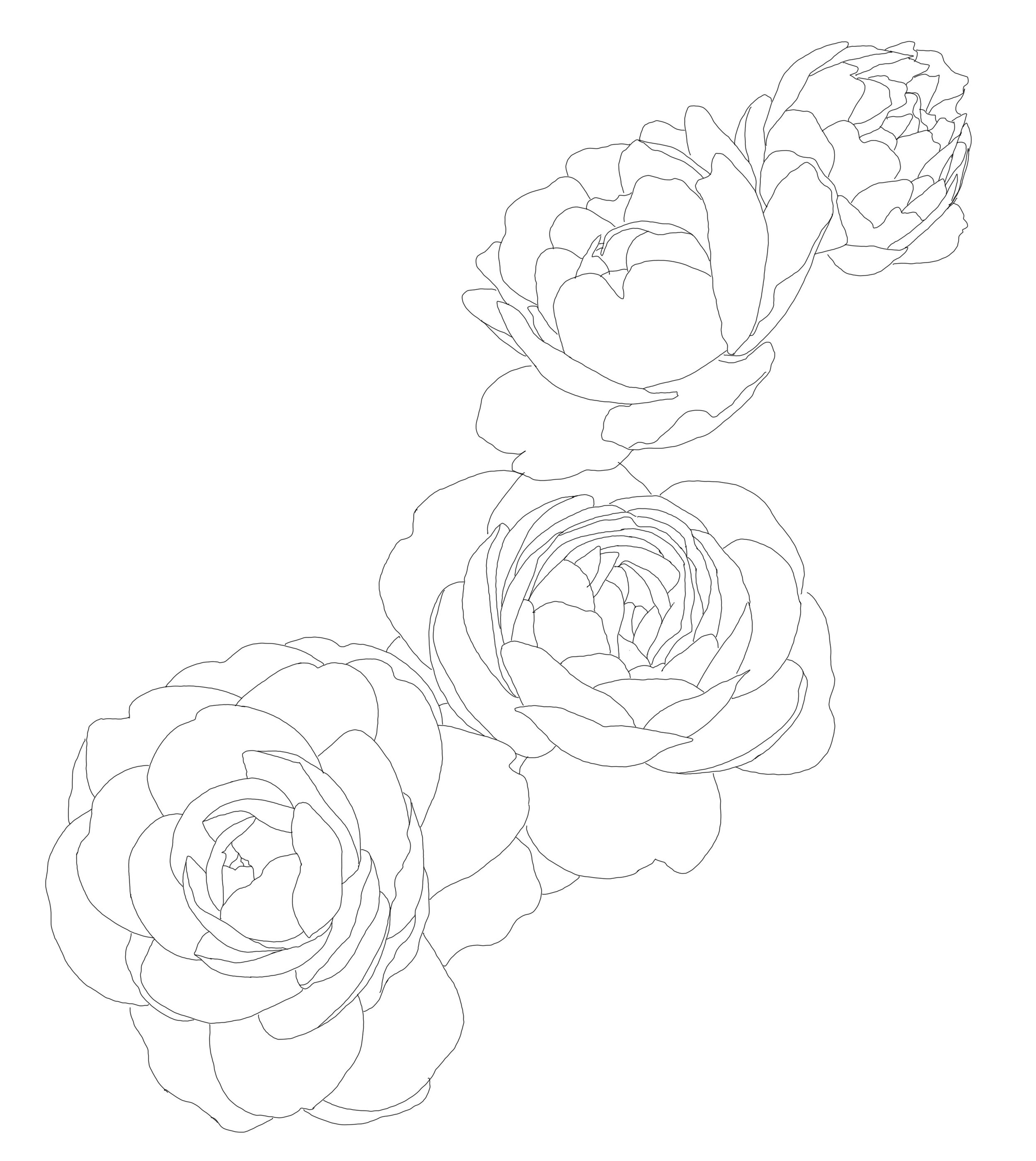 Digital download: 4 flowers