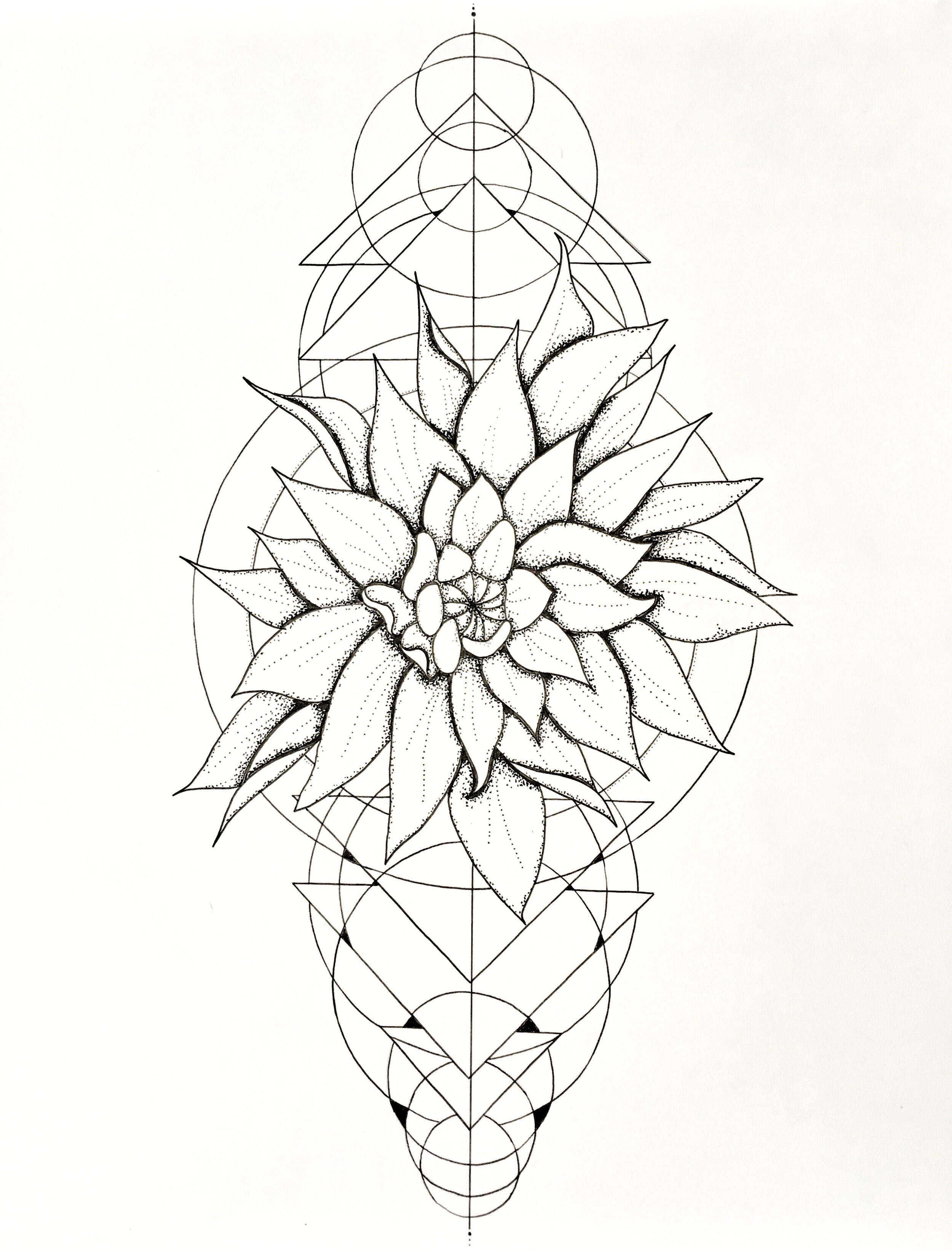 Geometric Dahlia 
