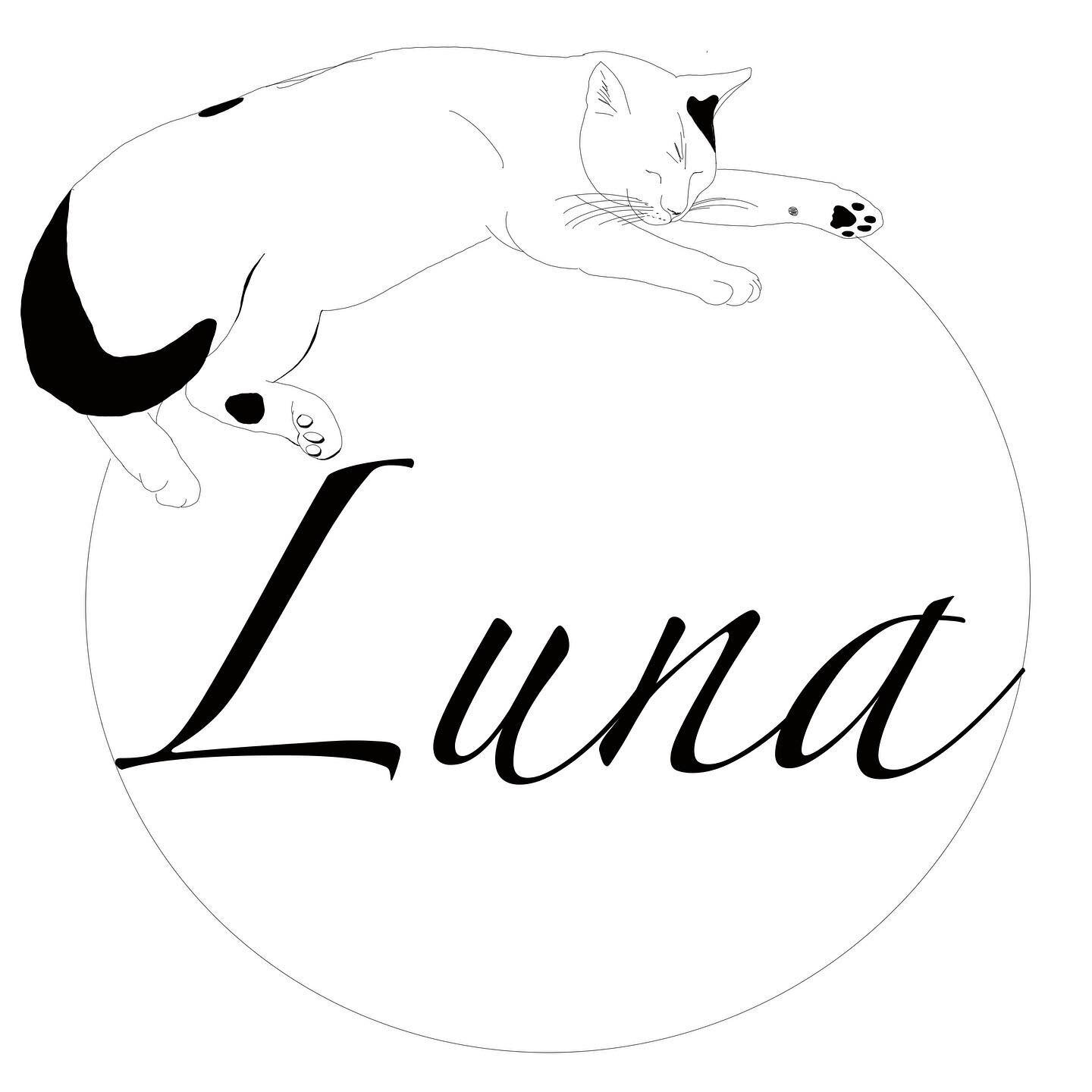 My friend&rsquo;s cat recently left this world so I made her this little sketch for her. In the past I&rsquo;ve made personalized tattoo designs, or custom pieces to be printed with other online services. It&rsquo;s fun to see my work on a mousepad o