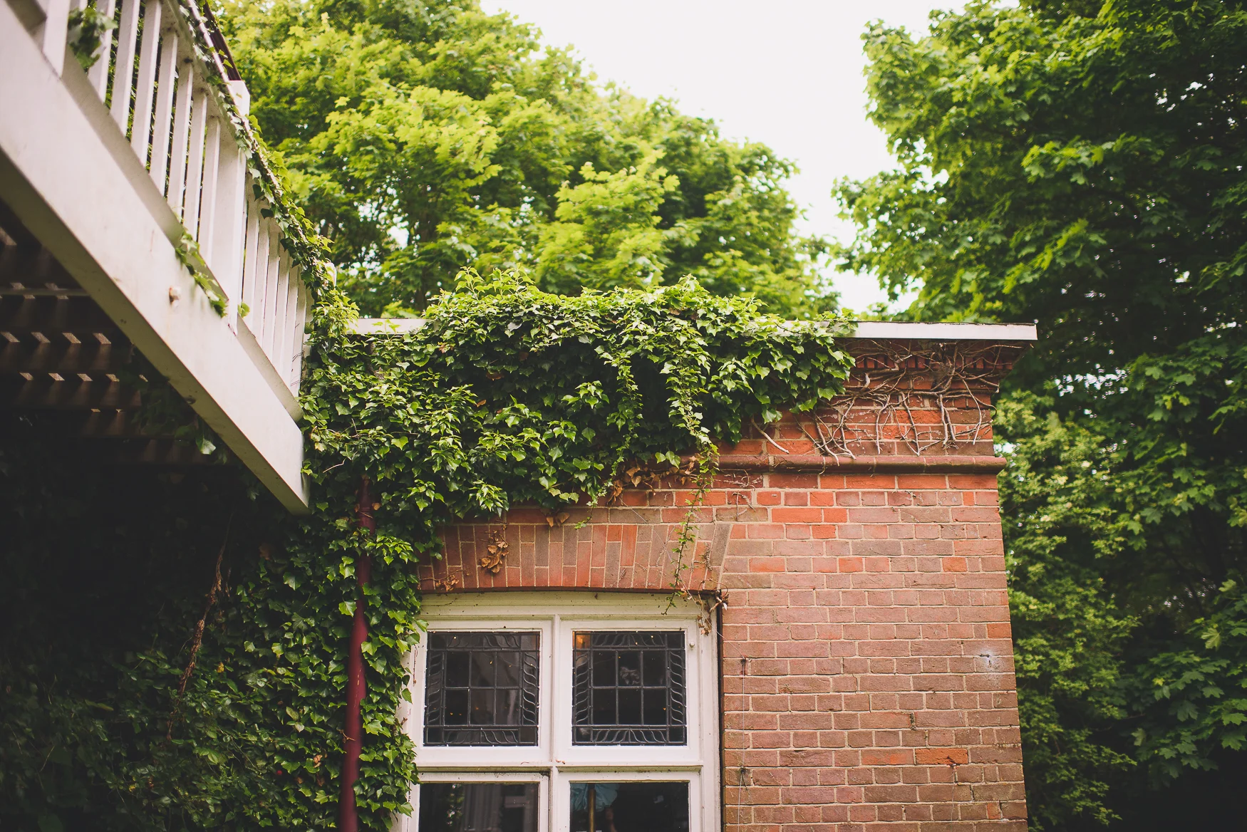 decca_and_noah_may15_rachel_manns_website_8.jpg