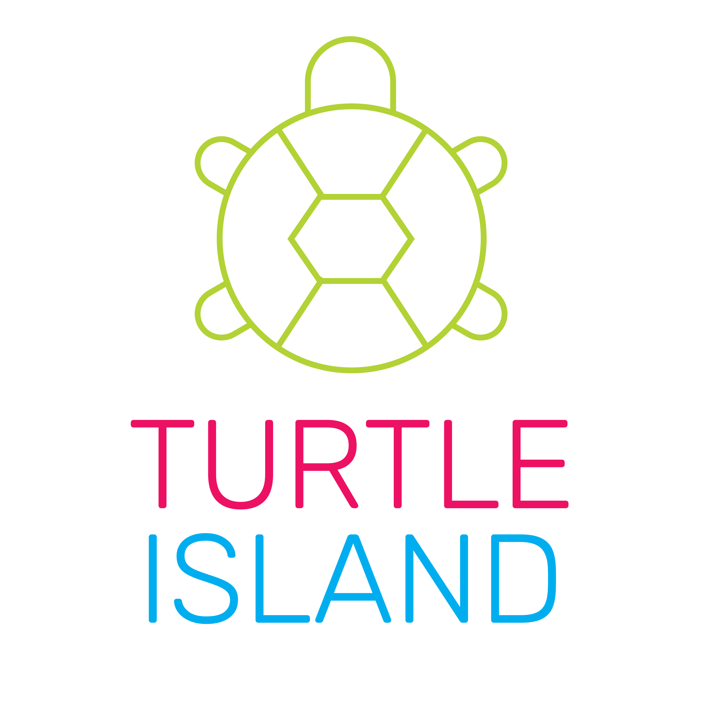 turtle-island .png