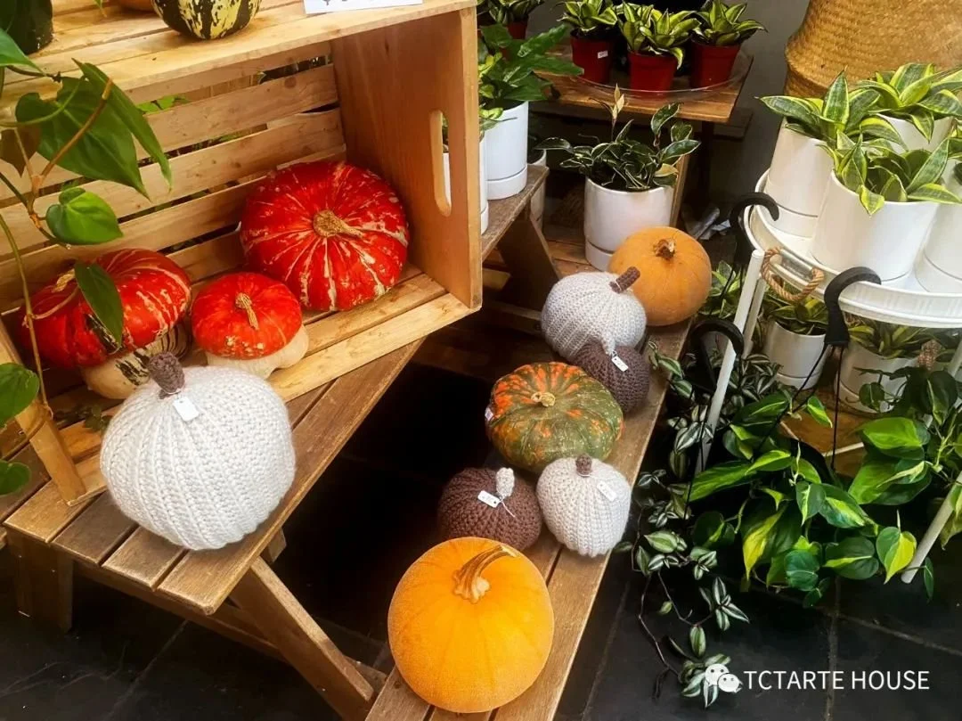 Colour Journey of Autumn: Pumpkin, Orange and Thanksgiving