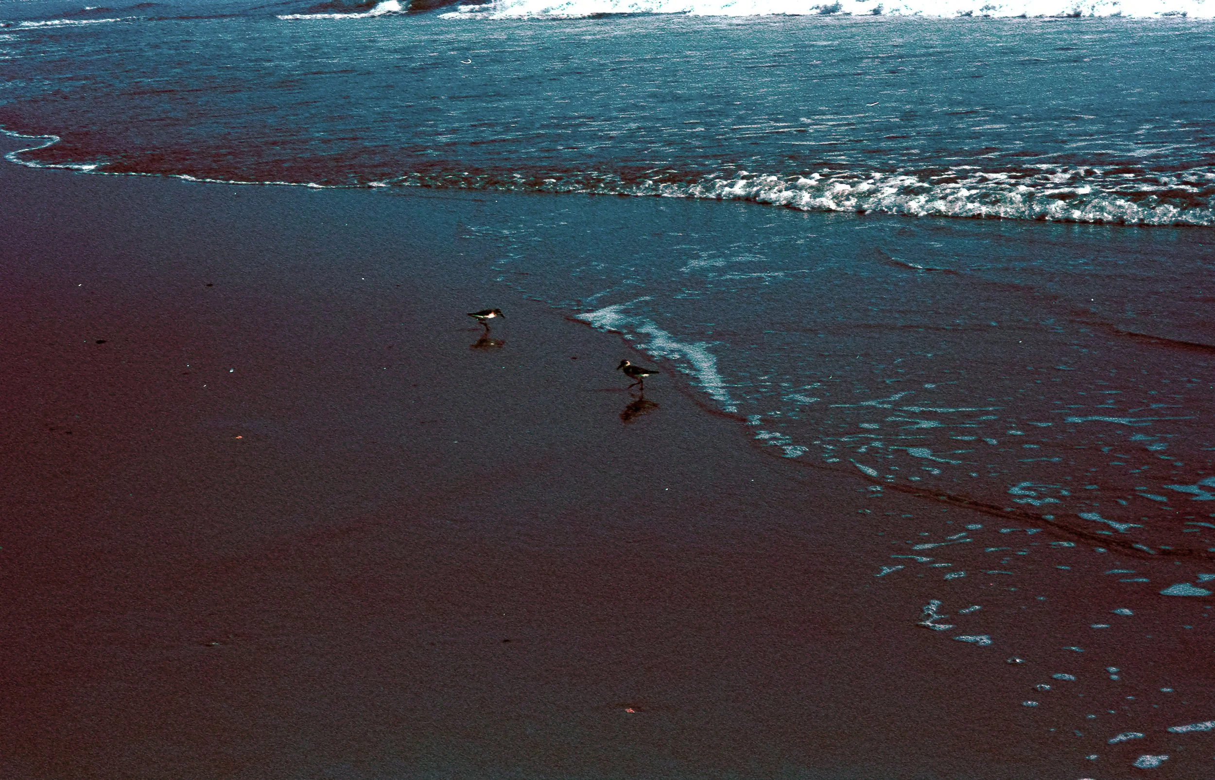 beach-3.jpg