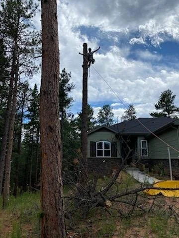 castle rock indoor soccer