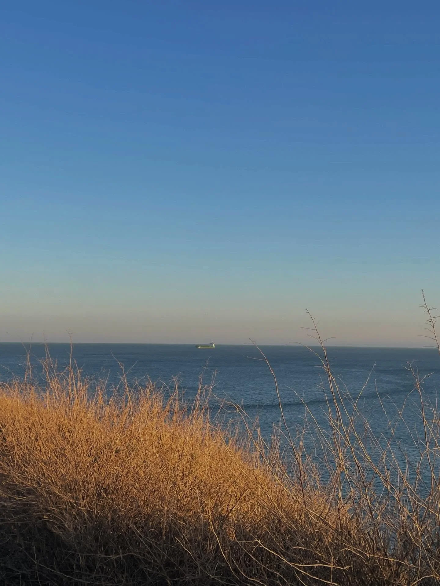 I&rsquo;ve been a bit absent around here lately. The past couple of weeks have been quite turbulent. One week, my child was sick and stayed home. A few days later, I got sick too, worse than I have in a long time. 
I spent an entire day lying down, b