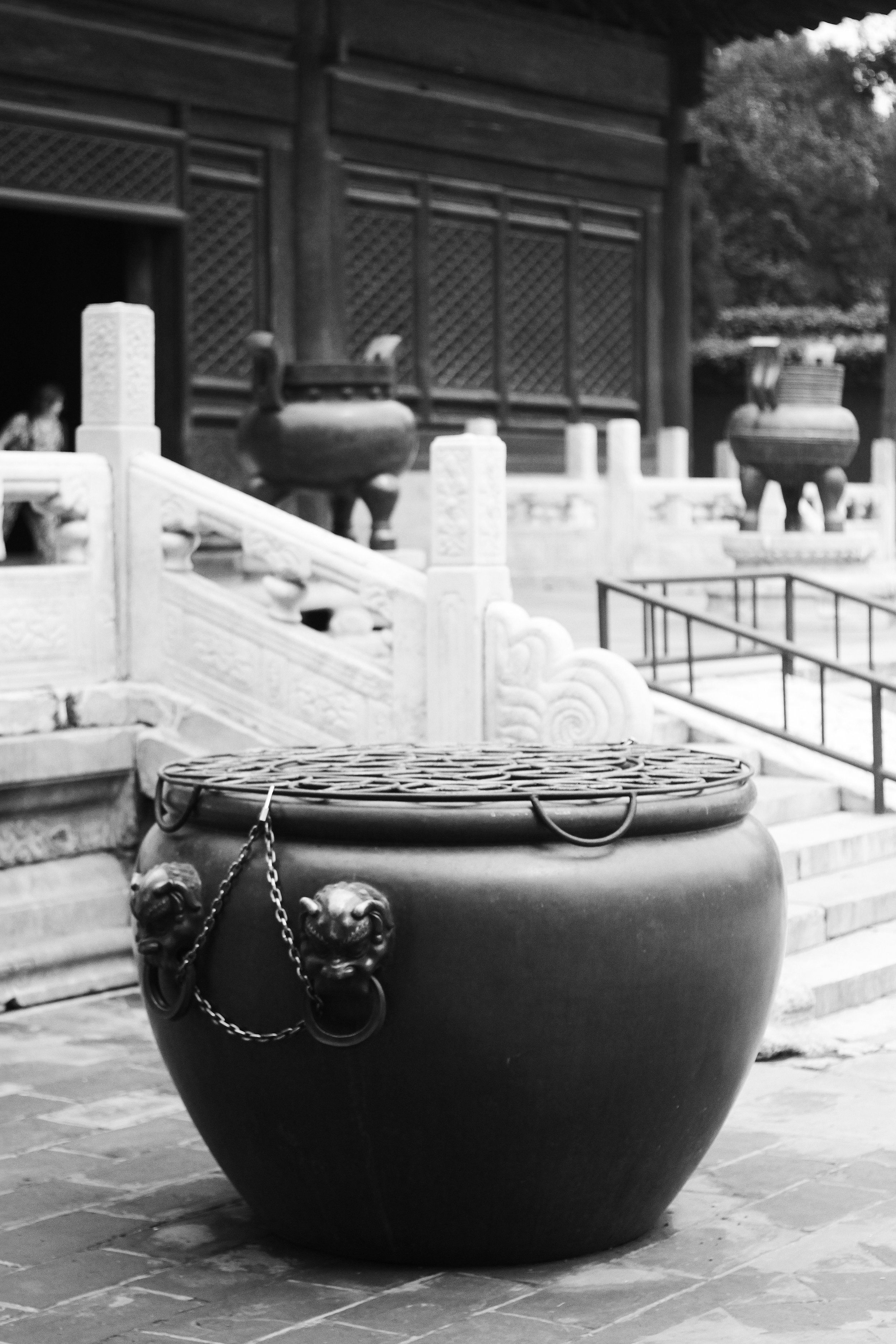 IMG_4433 copy.jpg