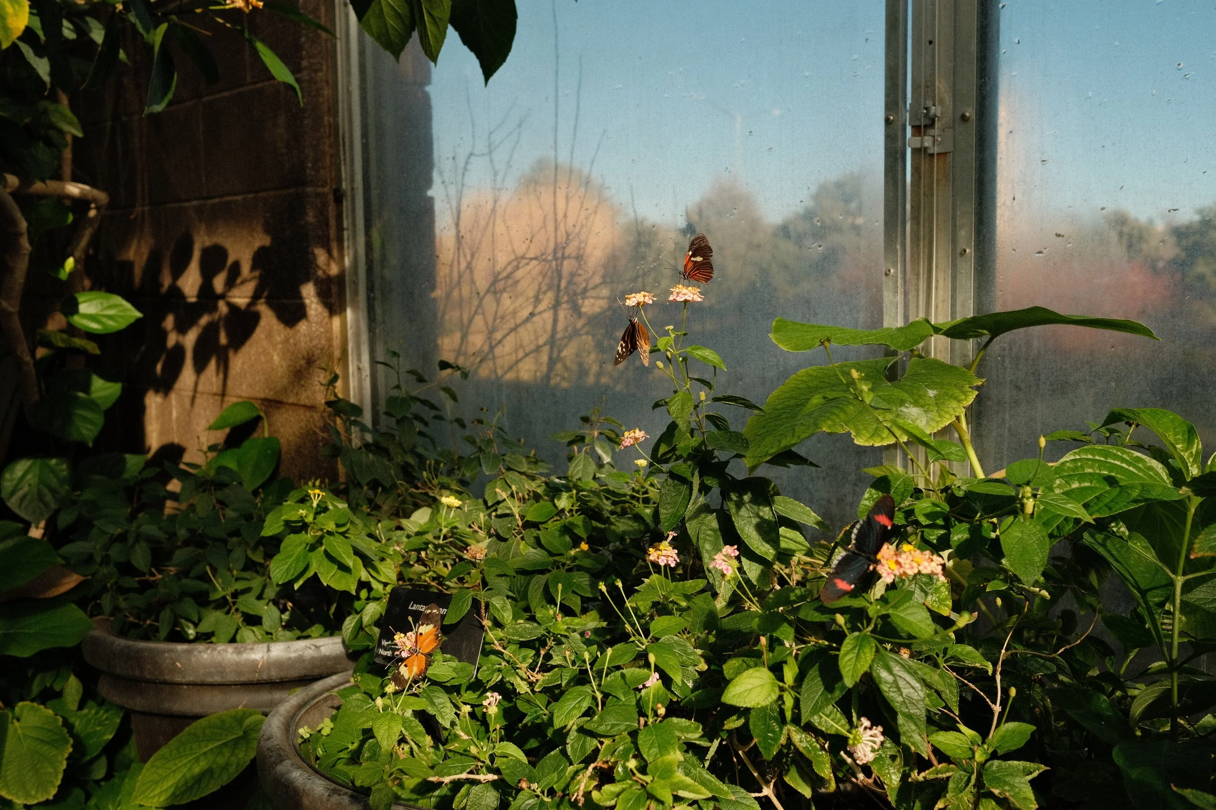 DSCF0620.JPG