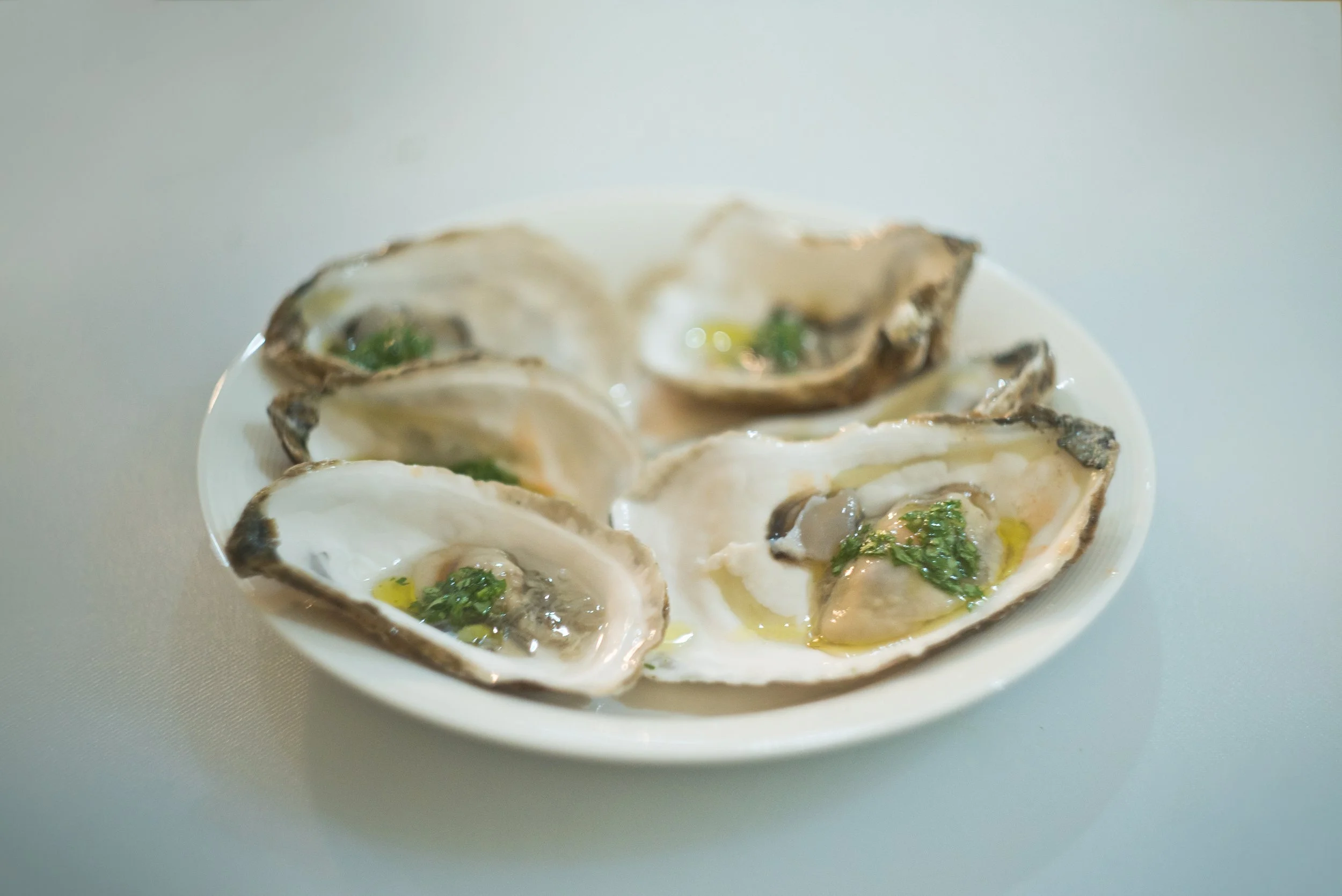 20180126-DSC02602 copy.jpg