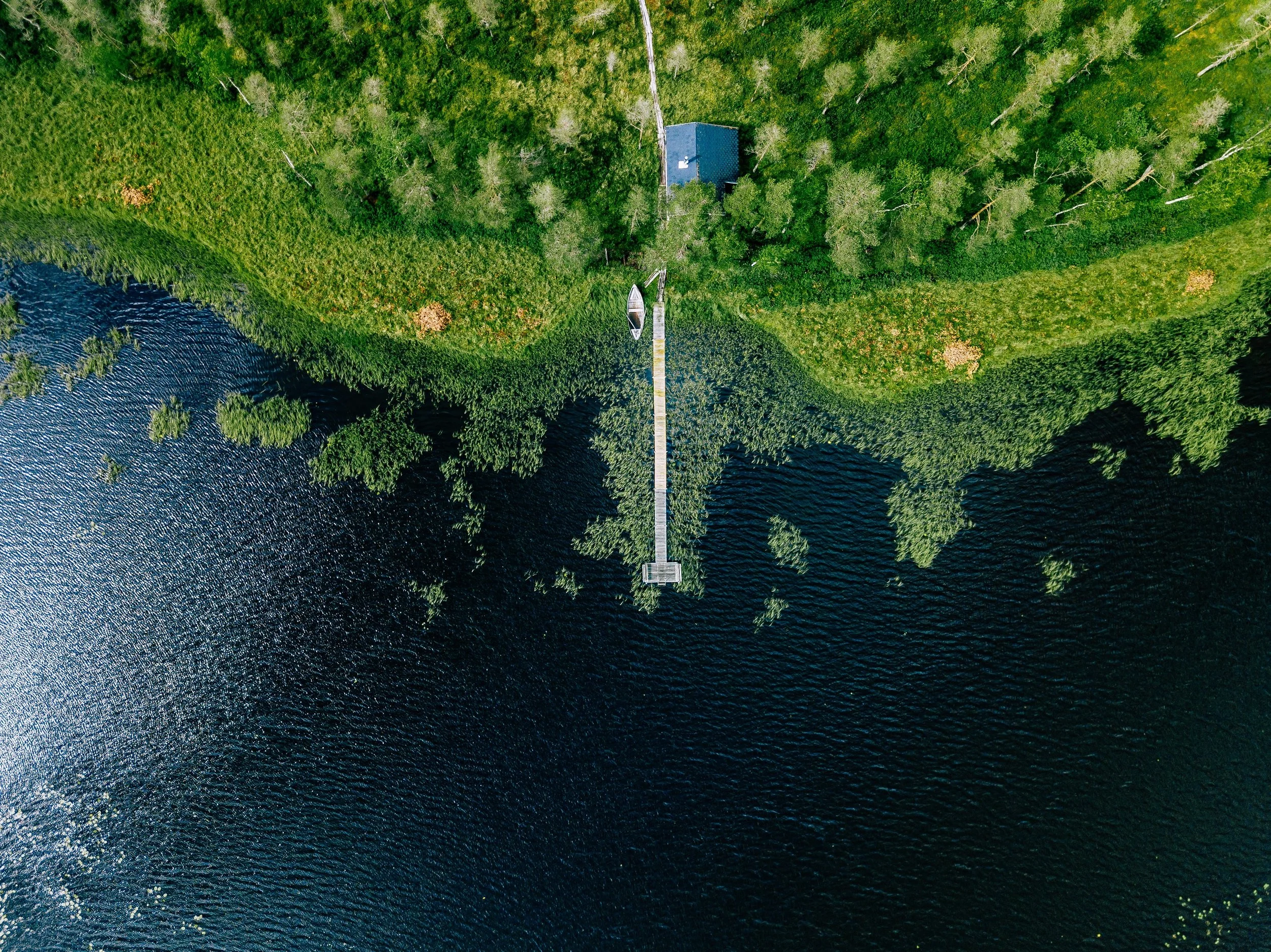 aerial-view-of-sauna-house-by-the-lake-shore-A3FT9U7.jpg