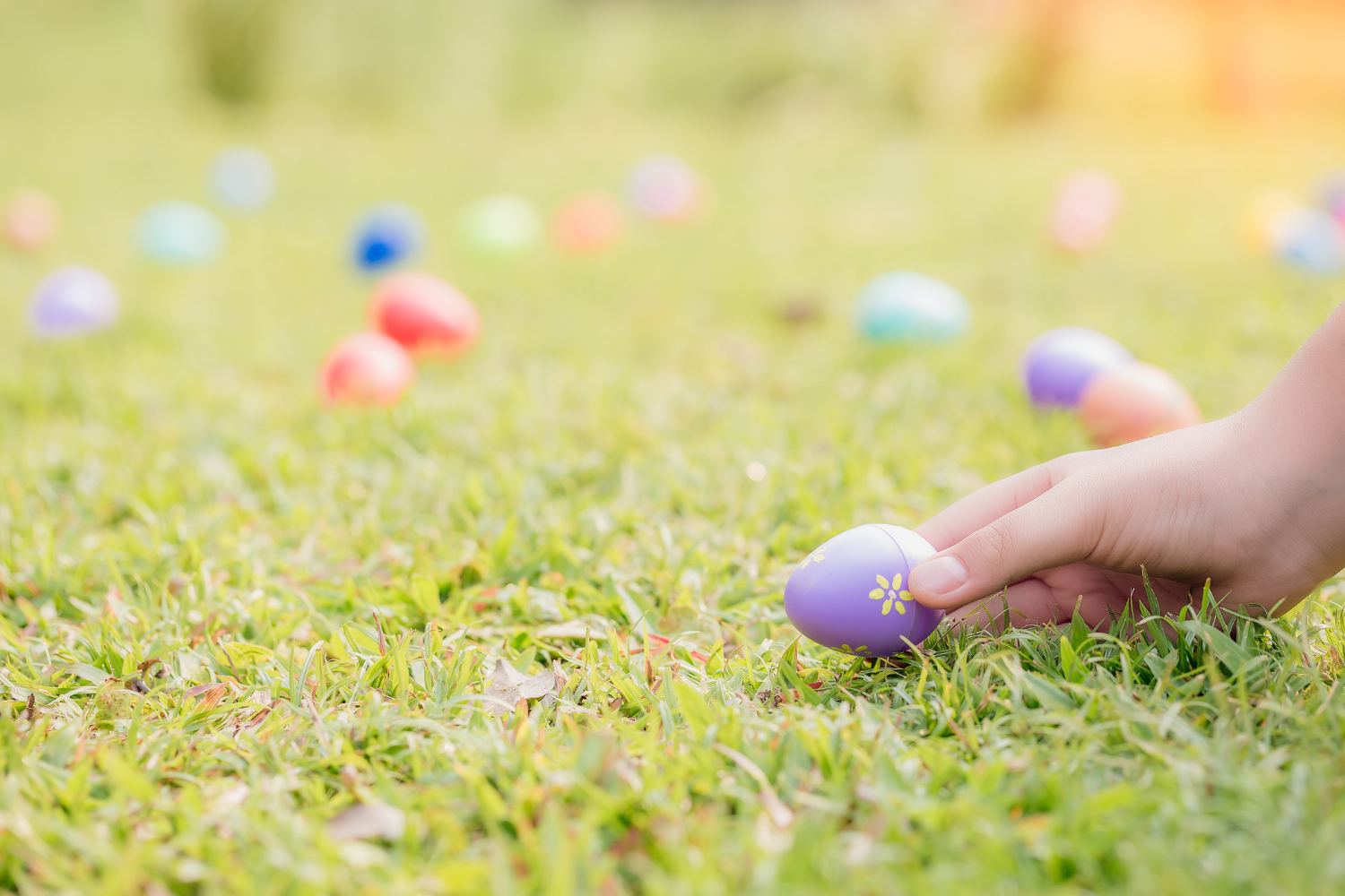 Second Saturday: Egg Hunt 