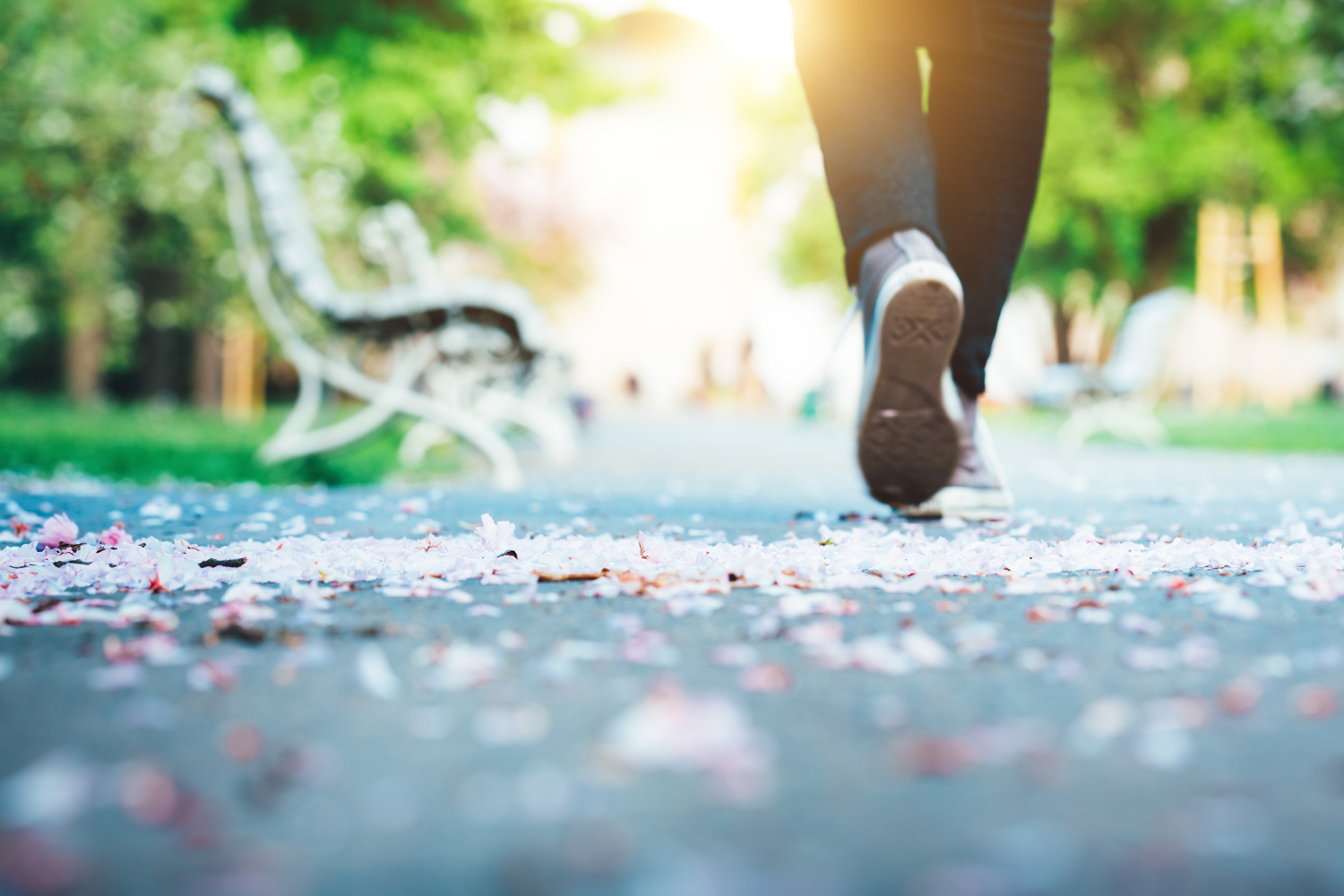 Walk by the Beach: Grief Support