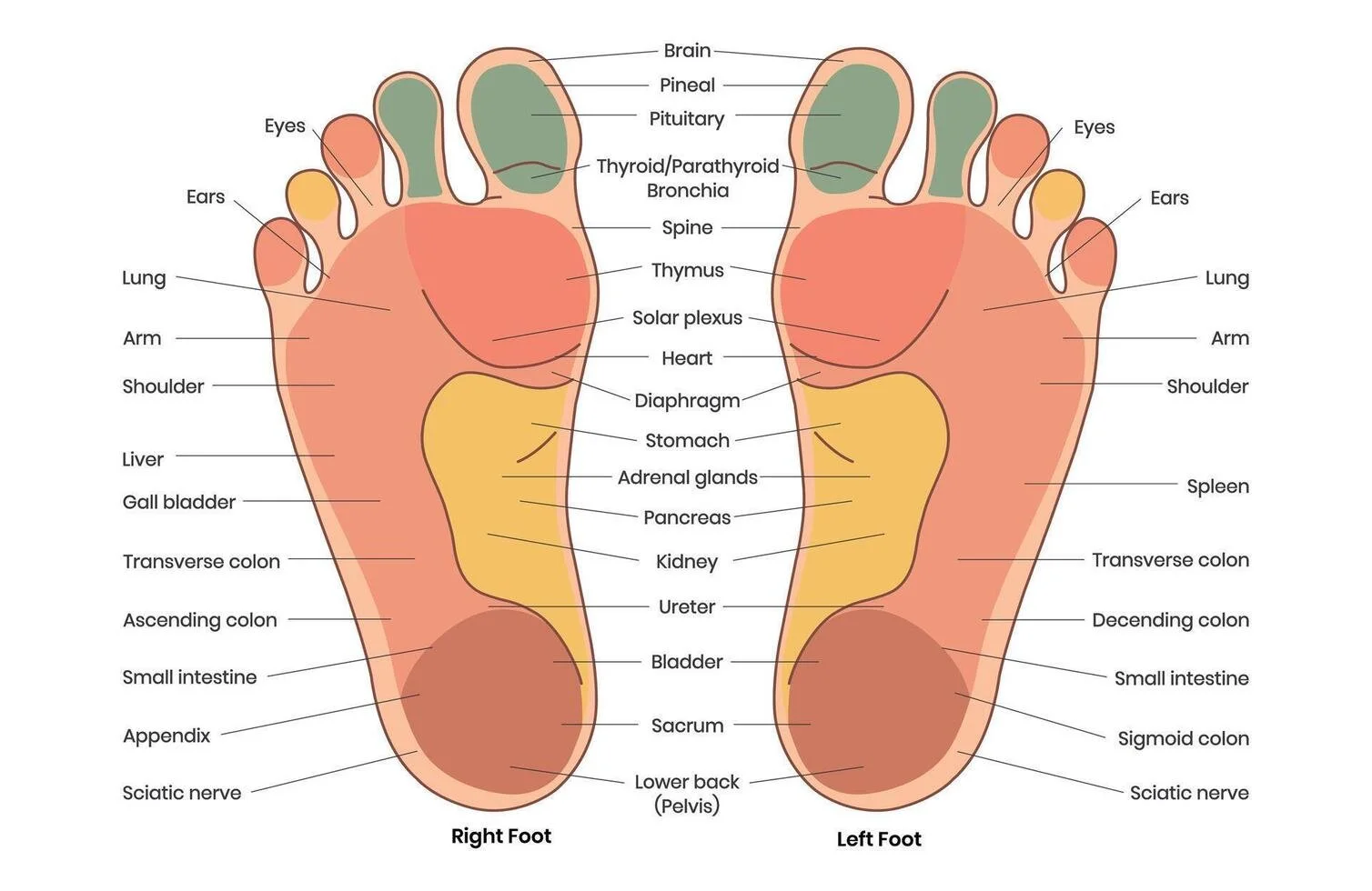 SECOND SATURDAY - $10 for 10 min foot reflexology