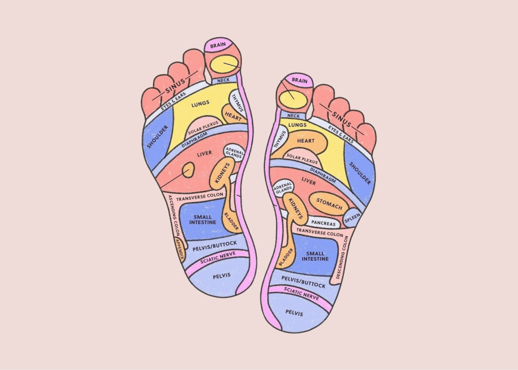 Free Talk: All About Foot Reflexology