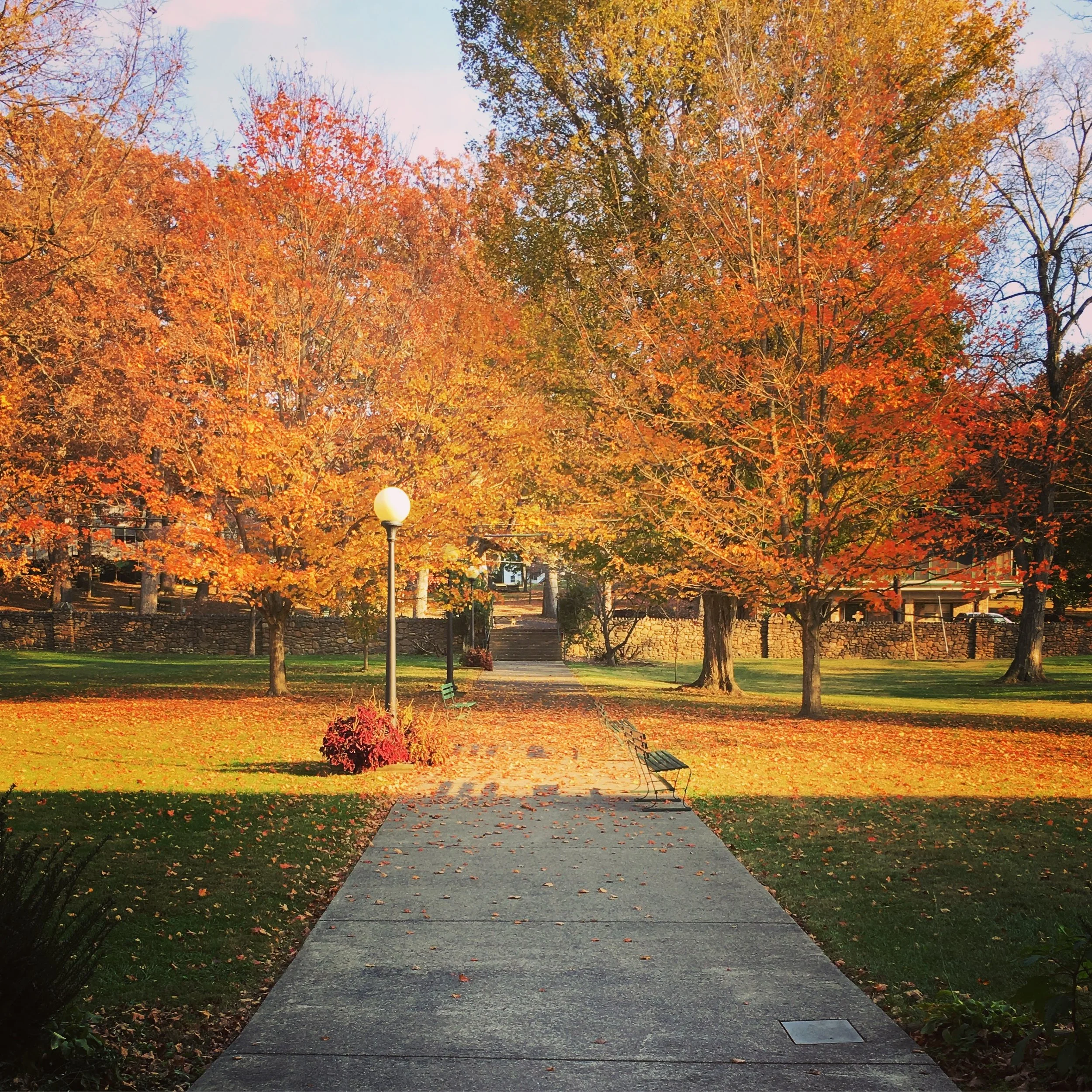 Fall Is A Wonderful Time To Be At Massanetta!