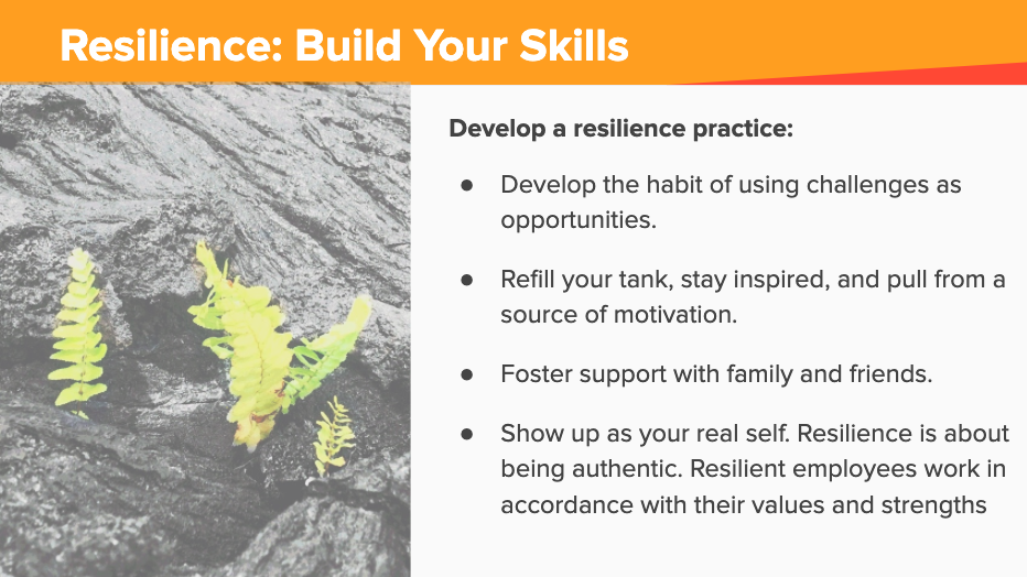 Screen Shot 2020-04-01 at 9.04.18 AM.png