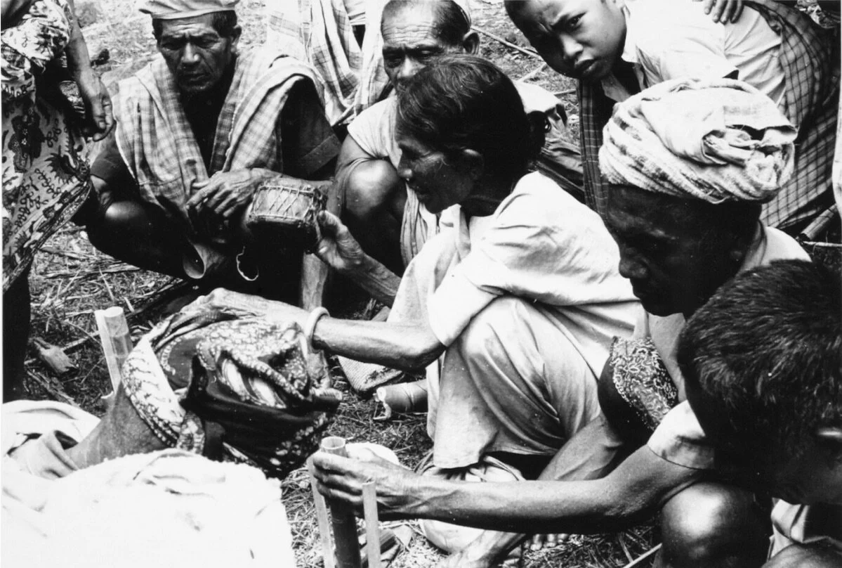 Cultural History In Focus | “Speaking to the Spirits: Thinking Comparatively about Women in Asian Indigenous Beliefs” by Barbara Watson Andaya