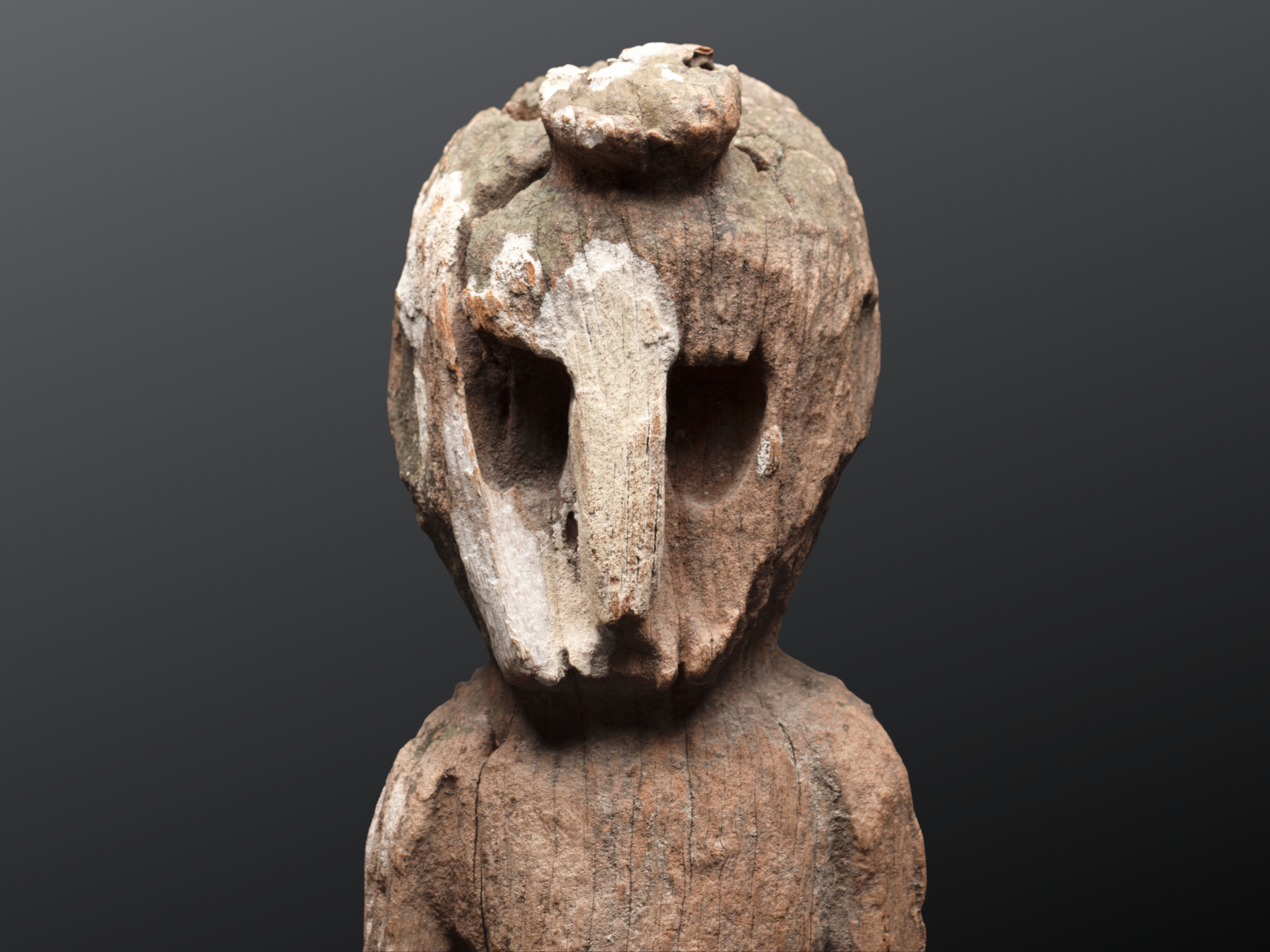 Art of the Ancestors Timor Gallery Renovation