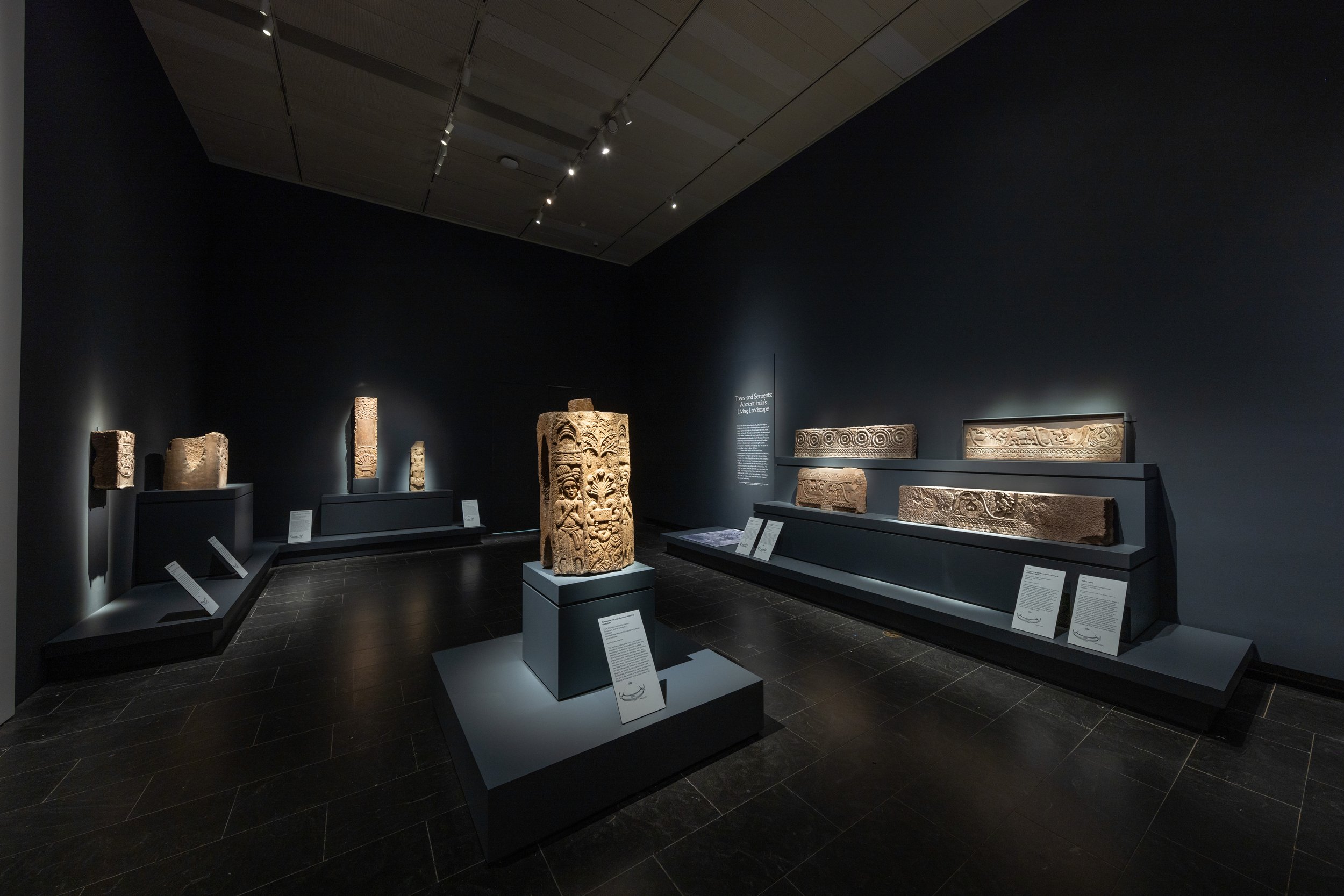  Installation view of  Tree &amp; Serpent: Early Buddhist Art in India, 200 BCE– 400 CE , on view July 21–November 13, 2023 at The Metropolitan Museum of Art. Photo by Anna-Marie Kellen, courtesy of The Met  