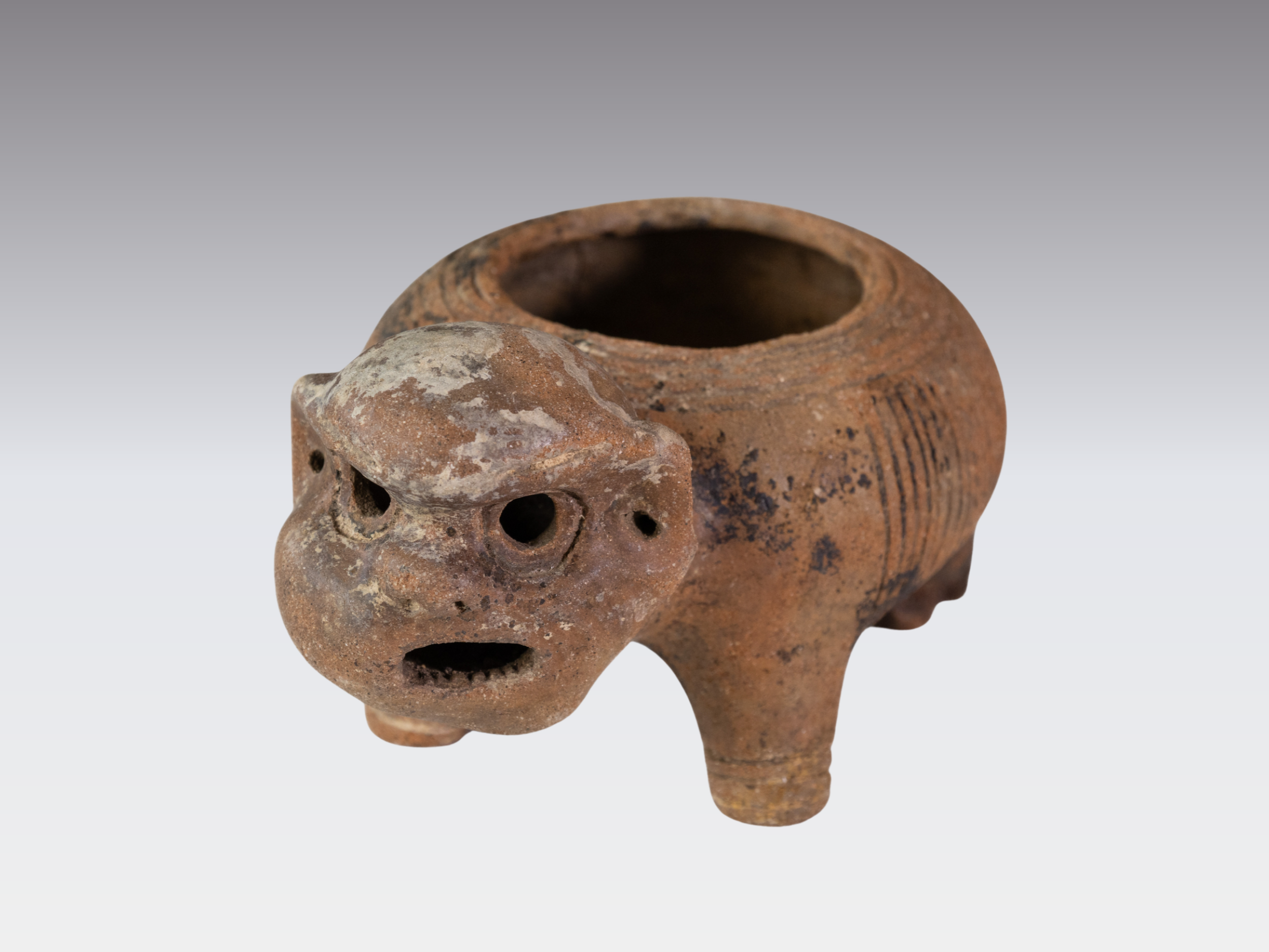 Amazonian Legacies: Art and Archaeology at Museum Rietberg