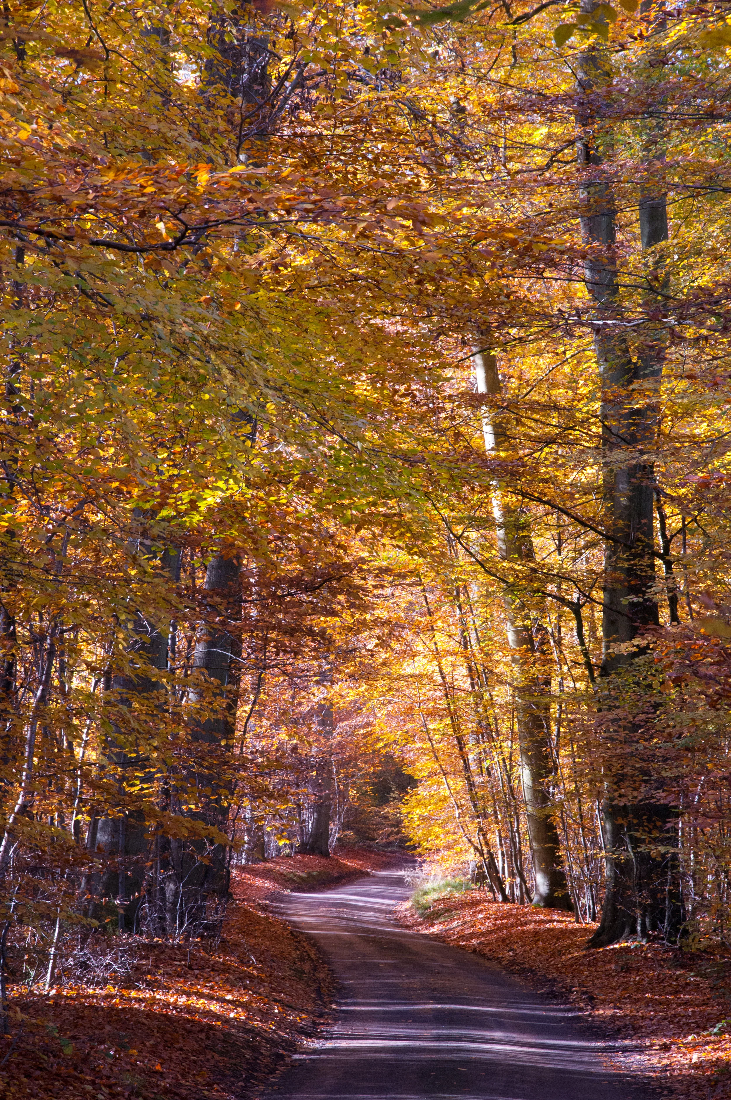 DSC_9261_edited-1.jpg