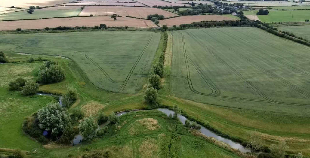 Developing in Oxfordshire or Buckinghamshire? We could save you money on BNG – while achieving the best outcomes for nature