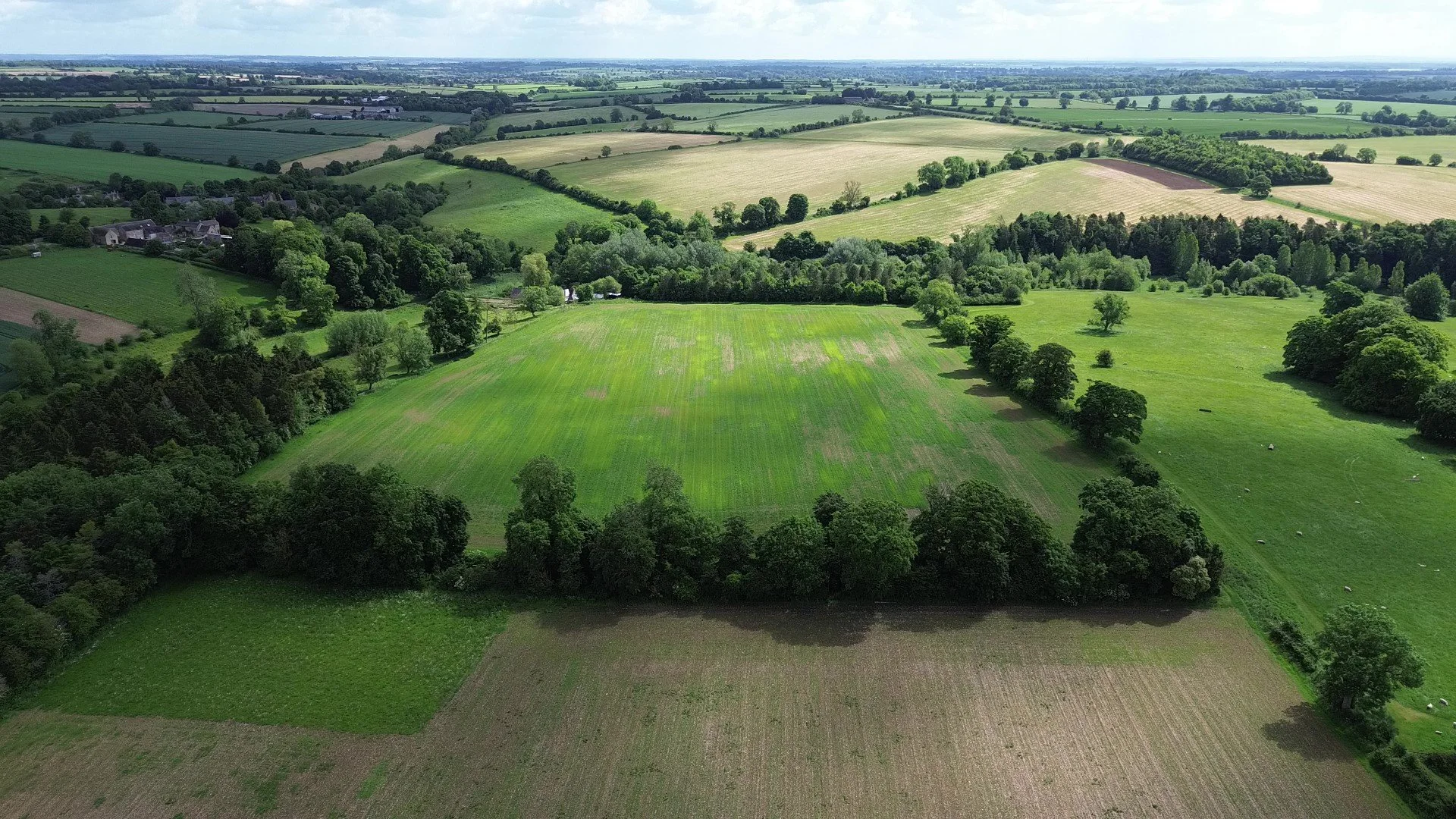 Biodiversity credits or biodiversity units. What's the difference and why does it matter?