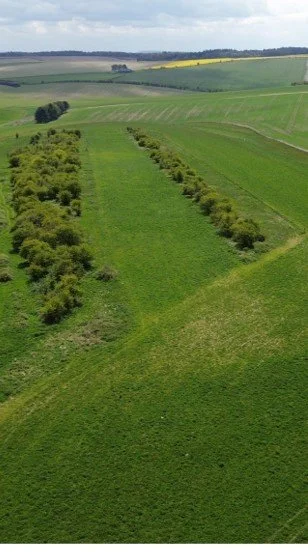 Biodiversity net gain on the Ridgeway: two years on