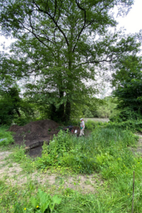Wolvercote Lakes pond site 2024.png