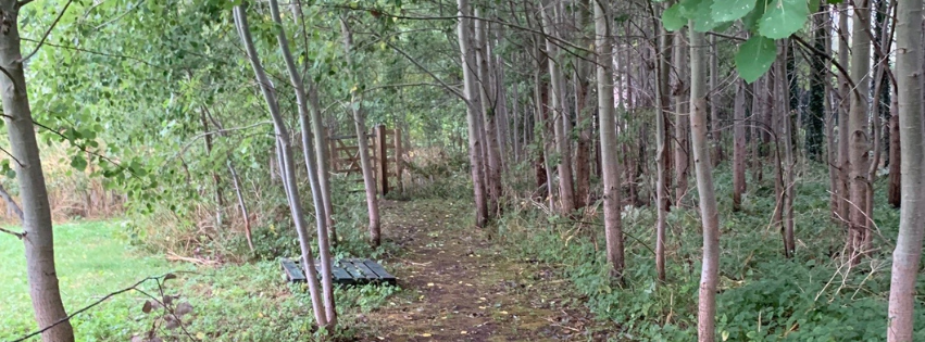 Sandford on Thames village hall path.png