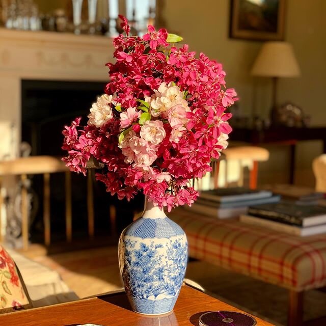 In the pink on a Friday night - blue and white and some cherry blossom .... simple pleasures .
.
.
. .
#english flowers #cherry #blueandwhite #flowervase #vintage #interiors #designideas #vintageseller #friday