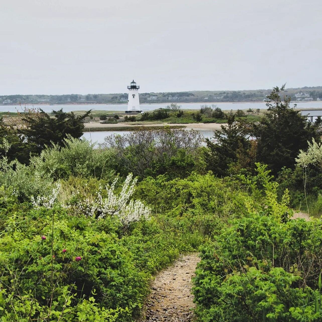 Pretty pathways to the Edgartown light 〰pc @marykgraves #visitedgartown #springtime #marthasvineyard