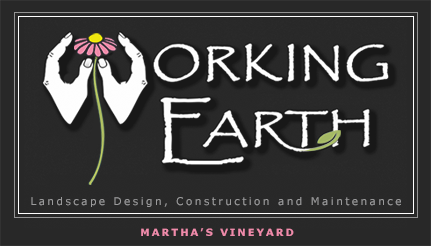 Working-Earth-LOGO.png