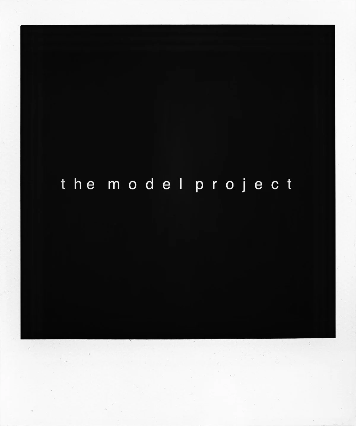 the model project